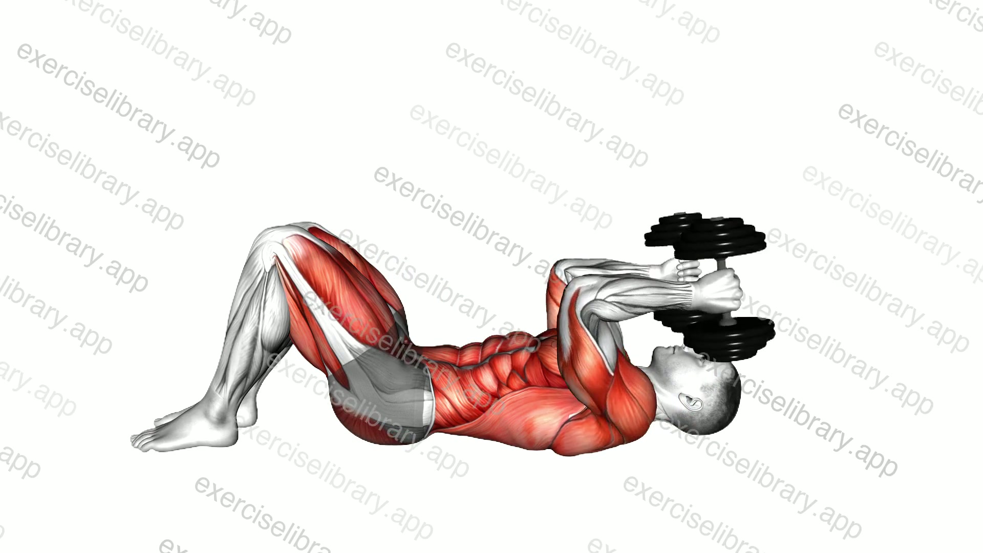 Dumbbell Pullover to Press Bridge demonstration