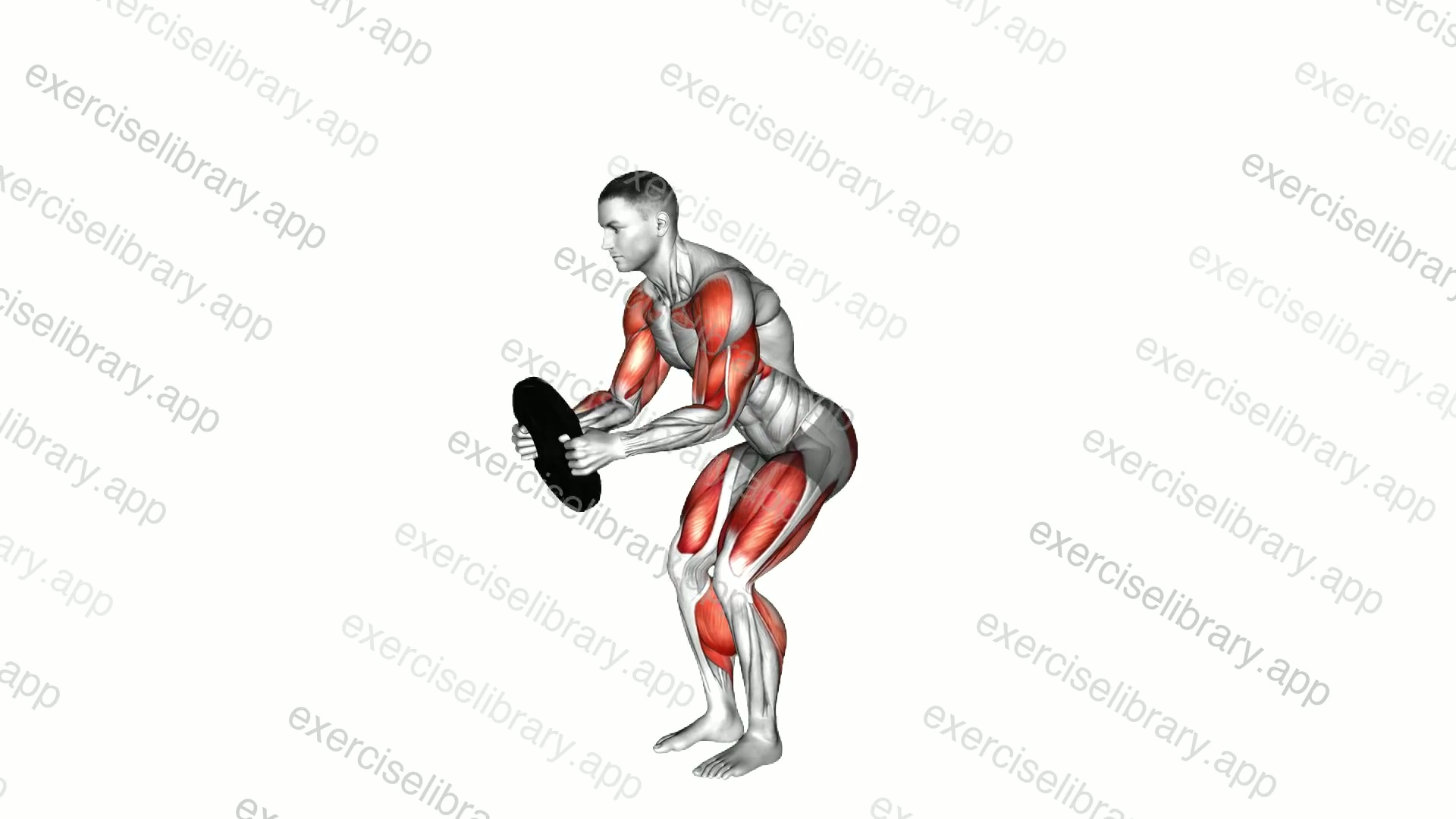 Weighted Plate Deadlift Rear Lunge with Overhead Press demonstration