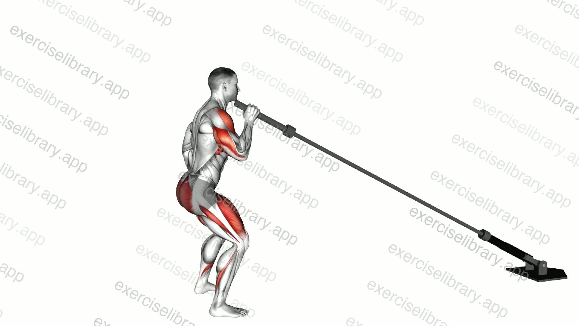 Landmine Single Arm Push Press demonstration