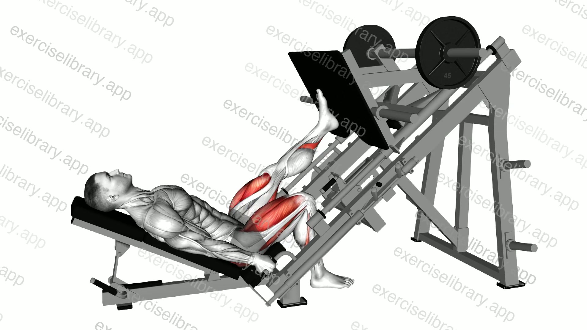 Sled Alternating Single Leg Negative Press demonstration