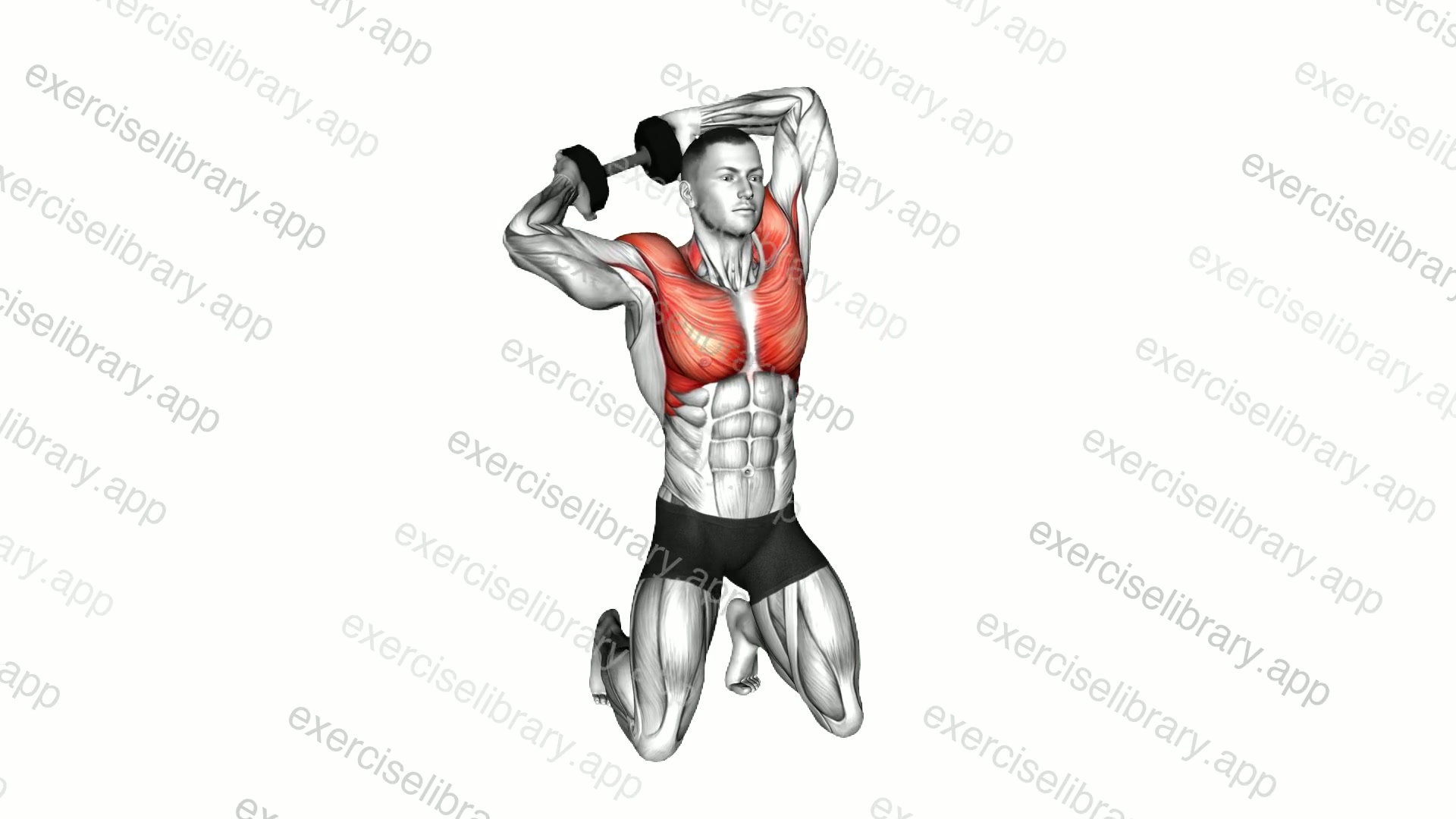 Dumbbell Kneeling Around Head Rotation demonstration