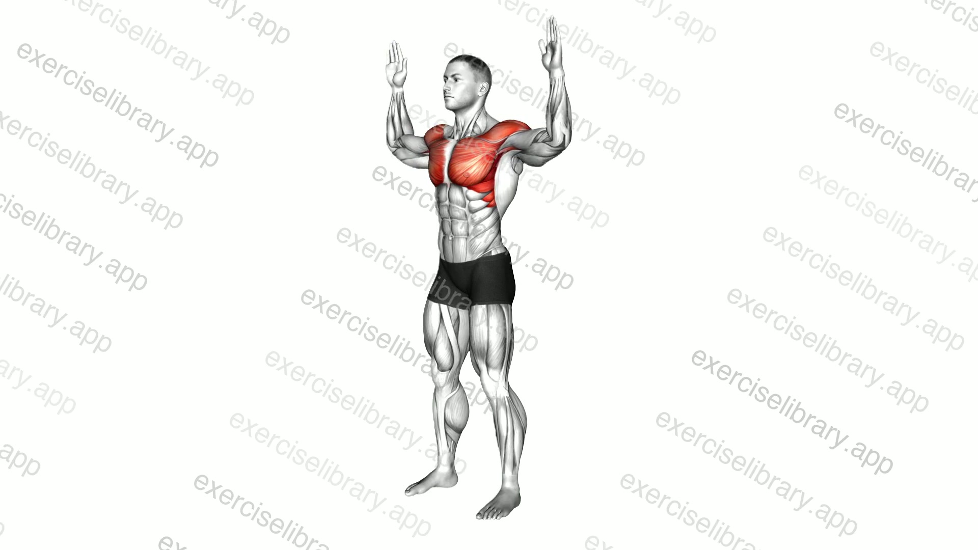 Bodyweight Standing Pec Dec demonstration