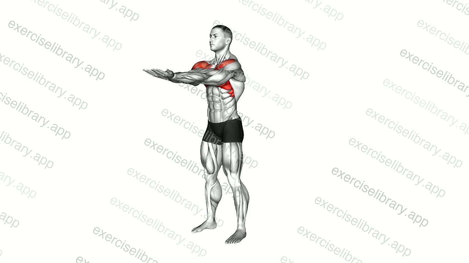 Standing Straight Elbow Together Lift demonstration