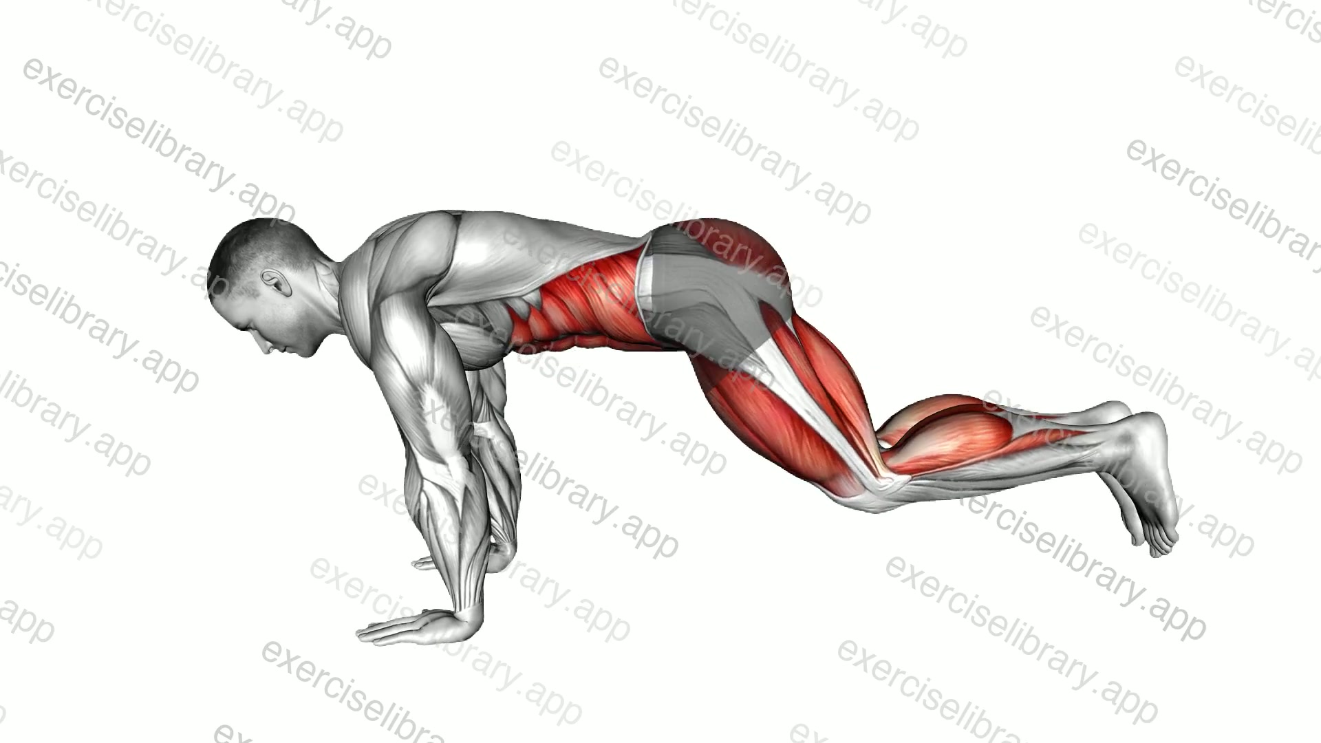 Plank Jump In demonstration