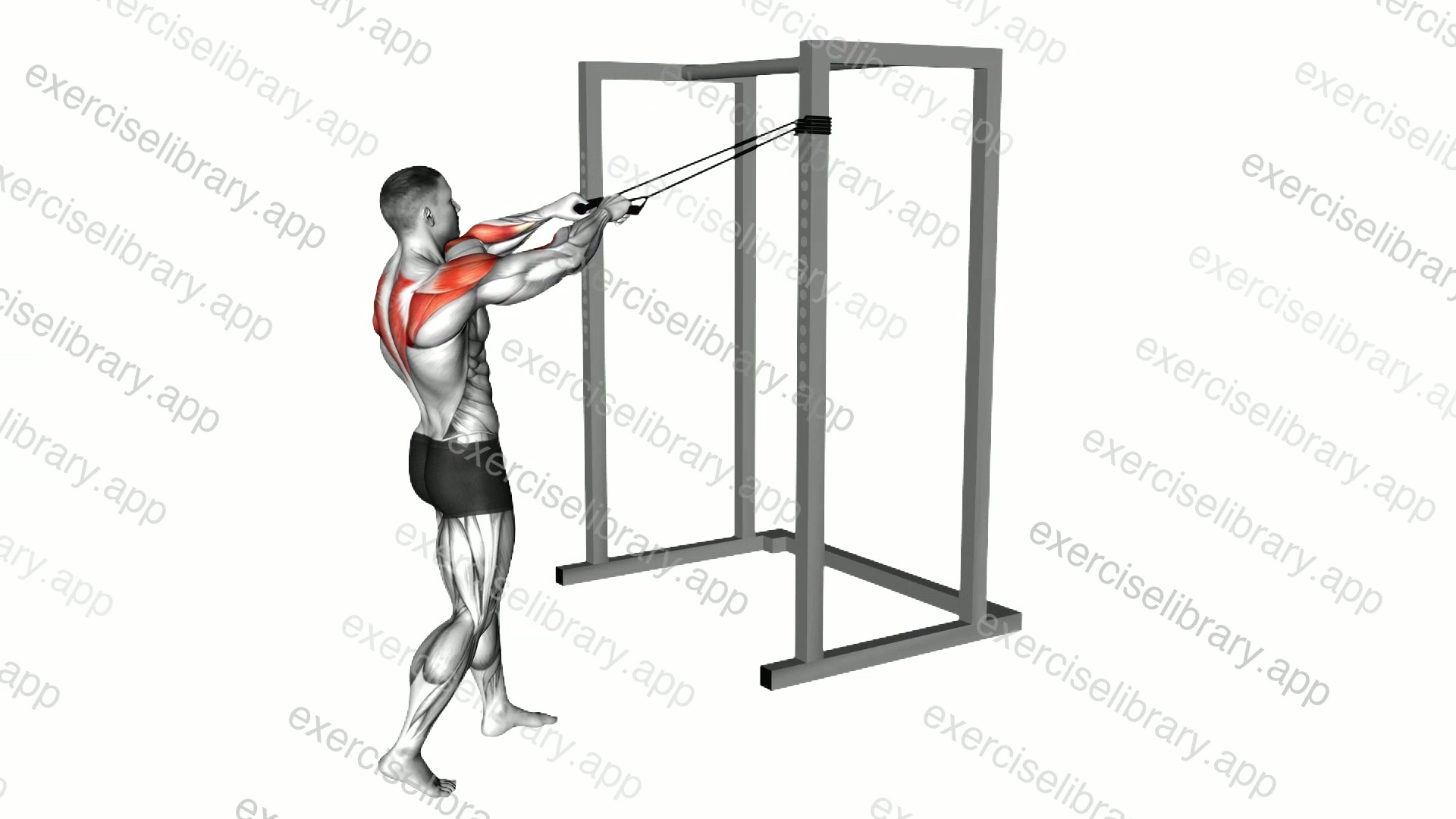 Band standing rear delt row demonstration