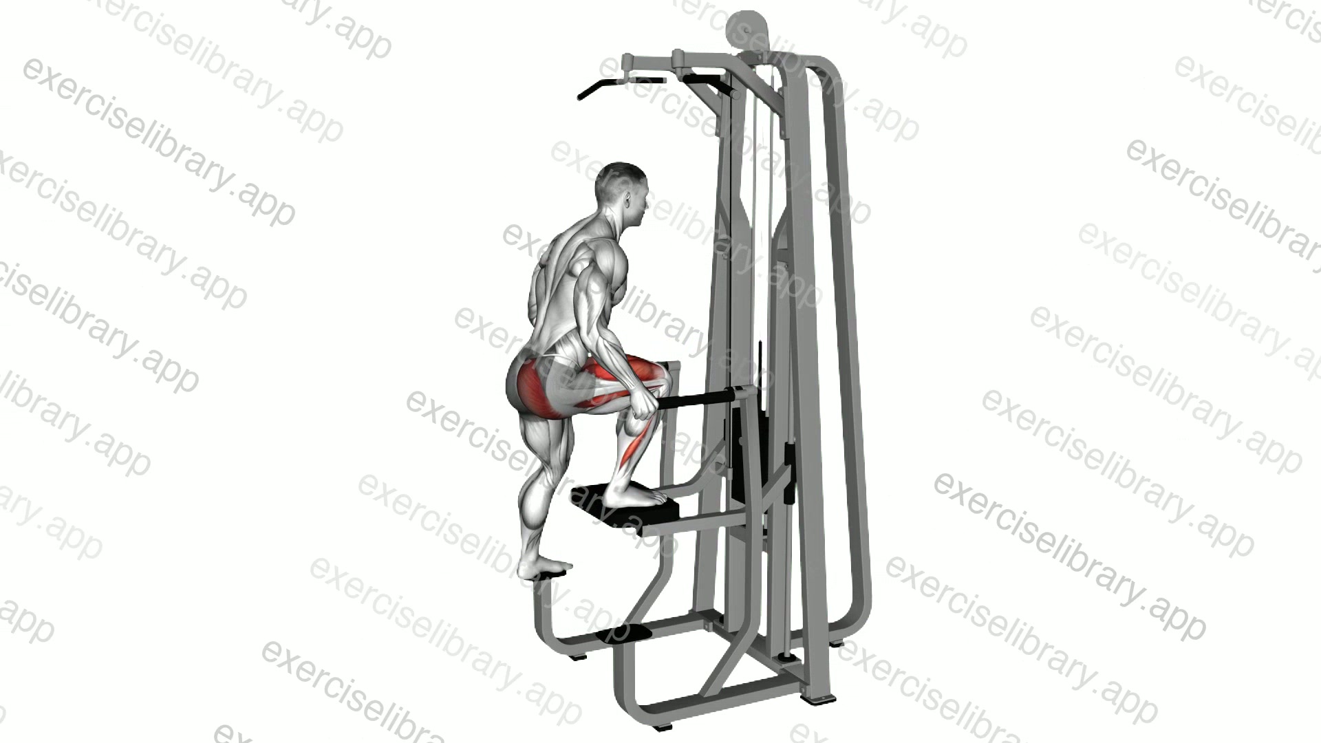 Assisted Single Leg Press demonstration