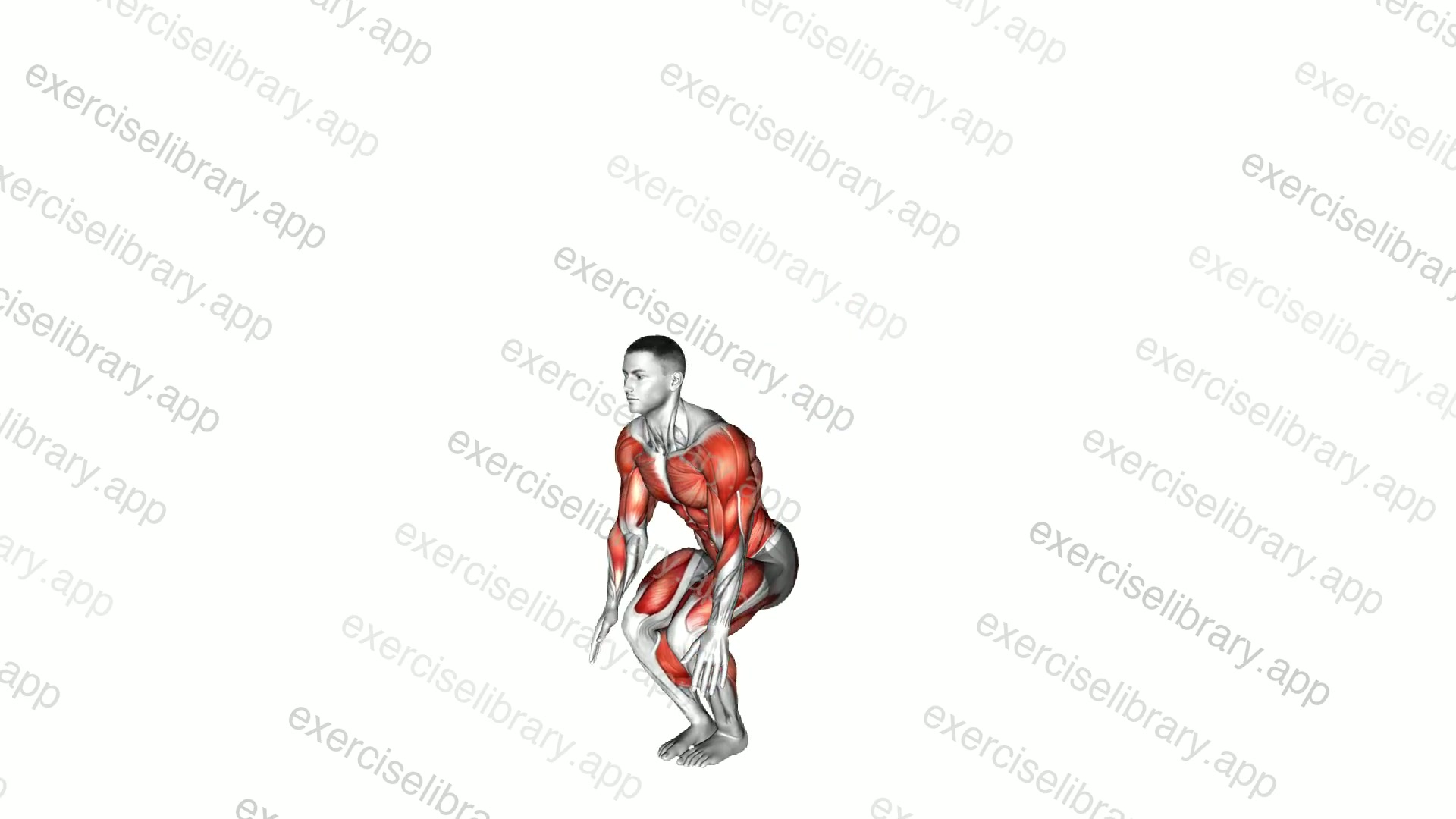 Burpee Single Leg Jump demonstration