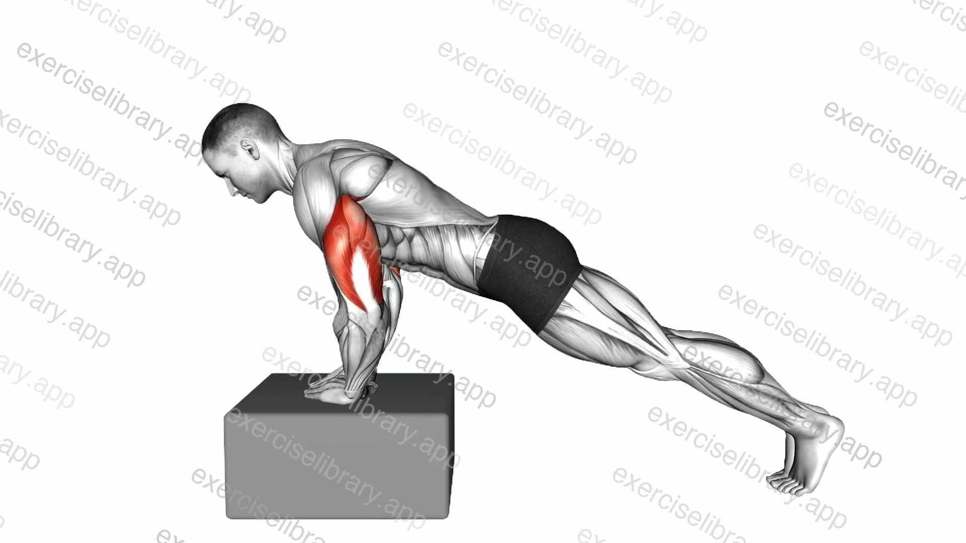Incline Diamond Push-up demonstration