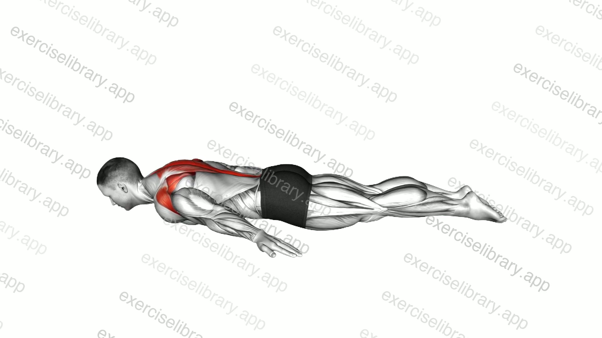 Superman Back Raise Hold demonstration