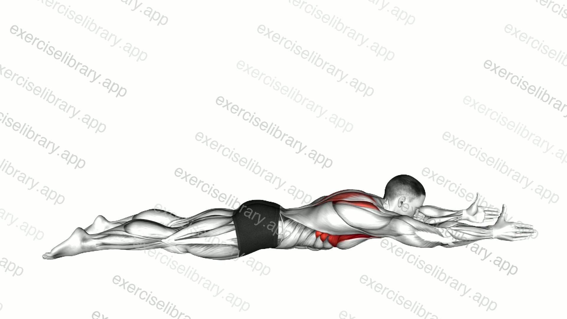 Lying Prone I Raise demonstration