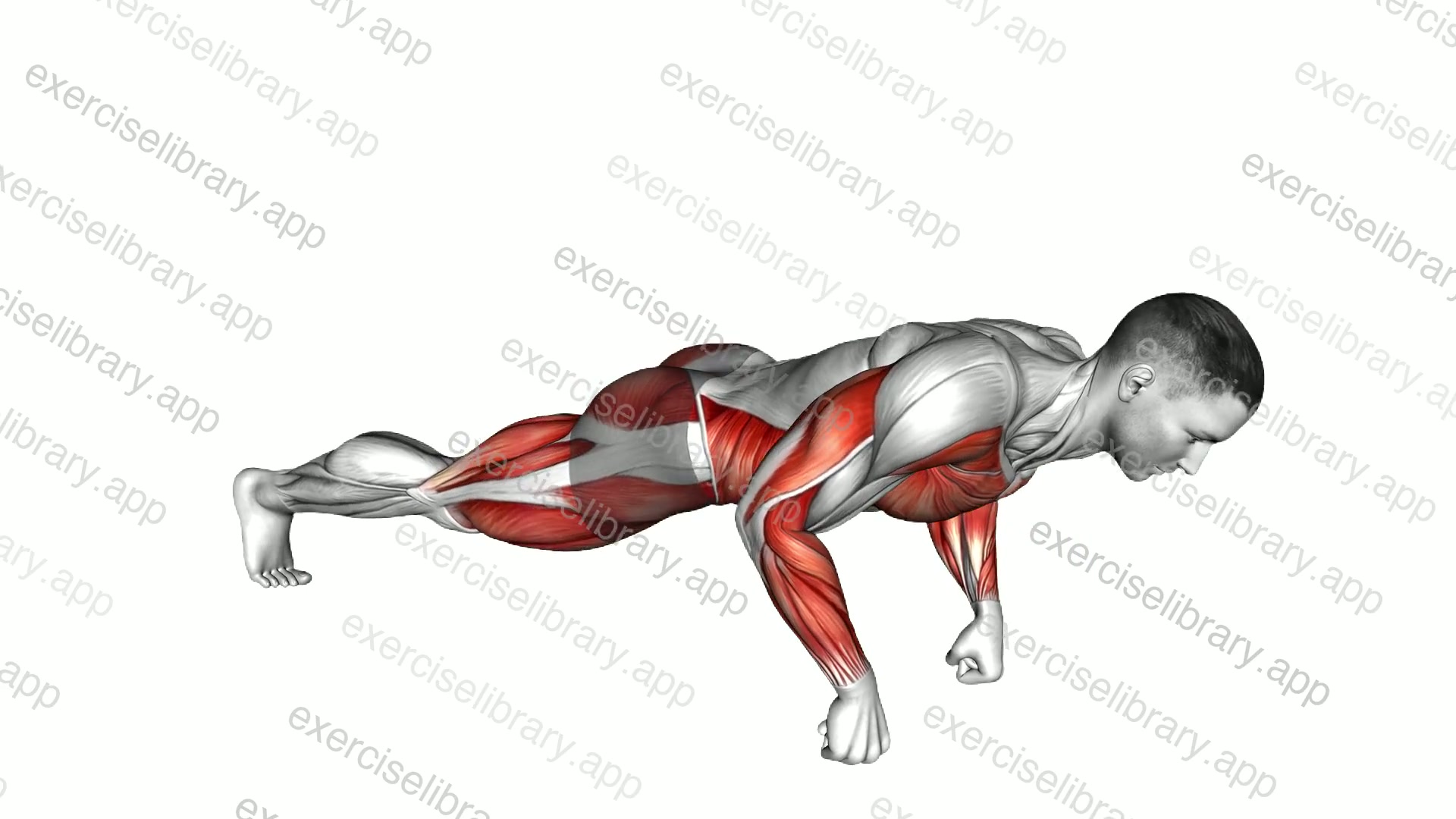 Fist Spiderman Push-up demonstration