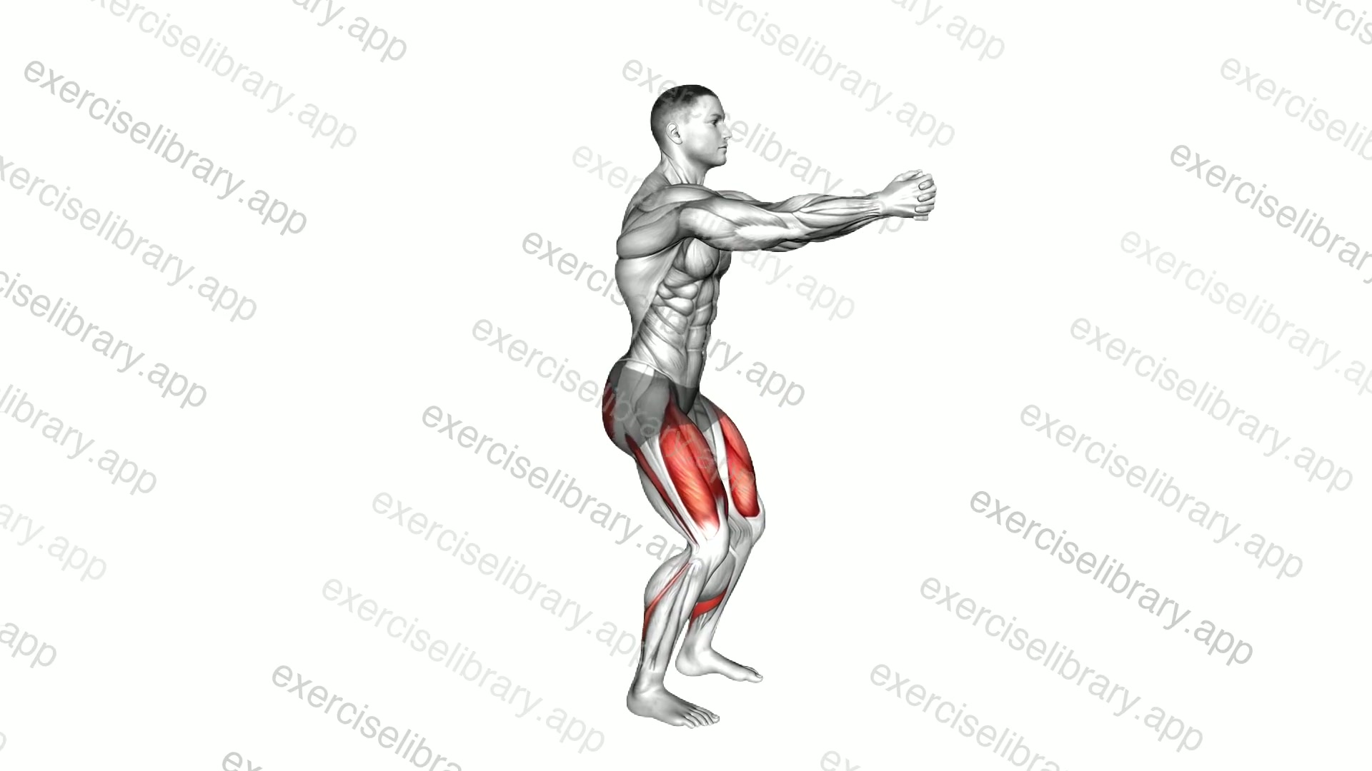 Bodyweight Squat Hold demonstration