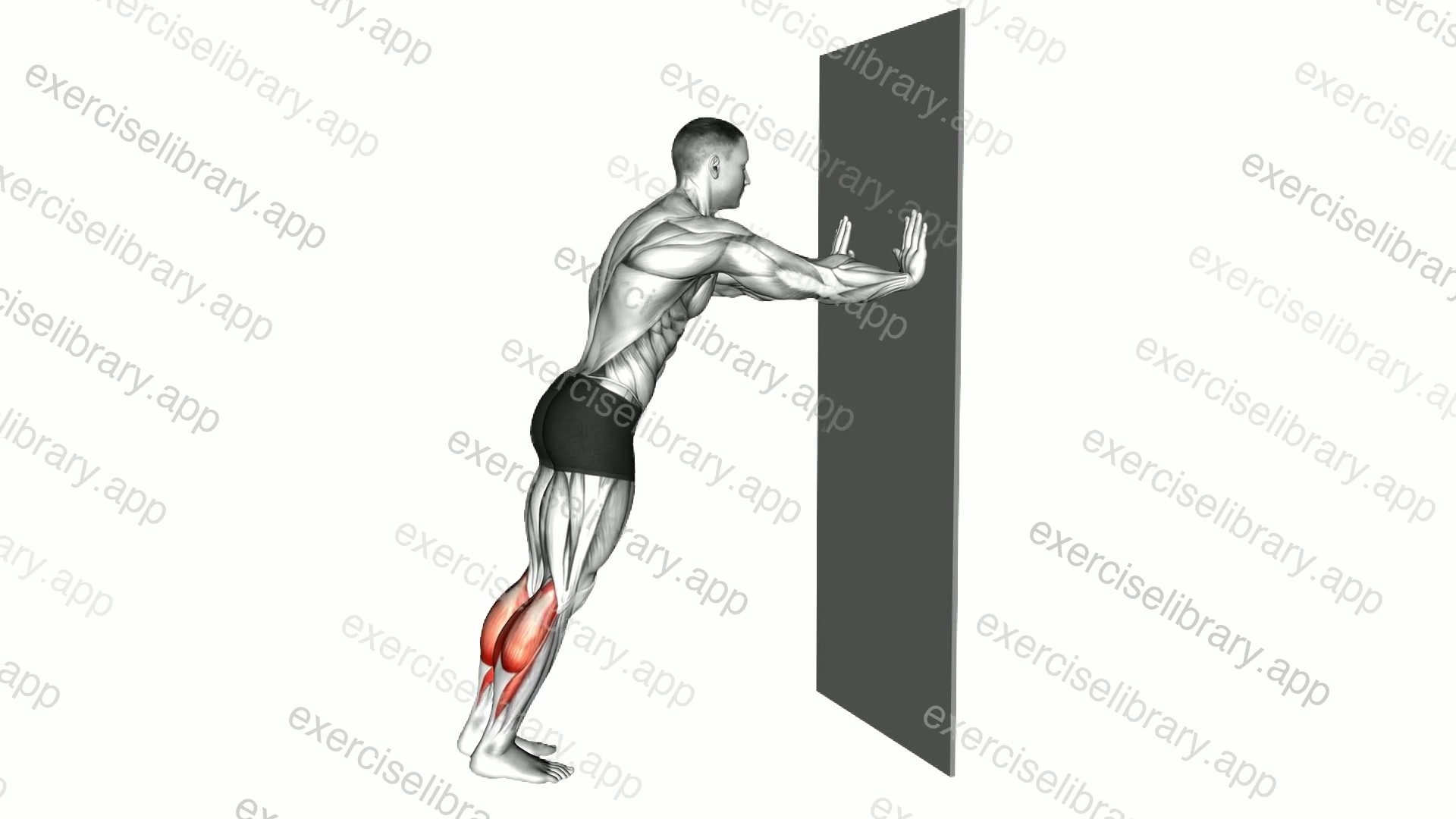 Incline Calf Raise demonstration
