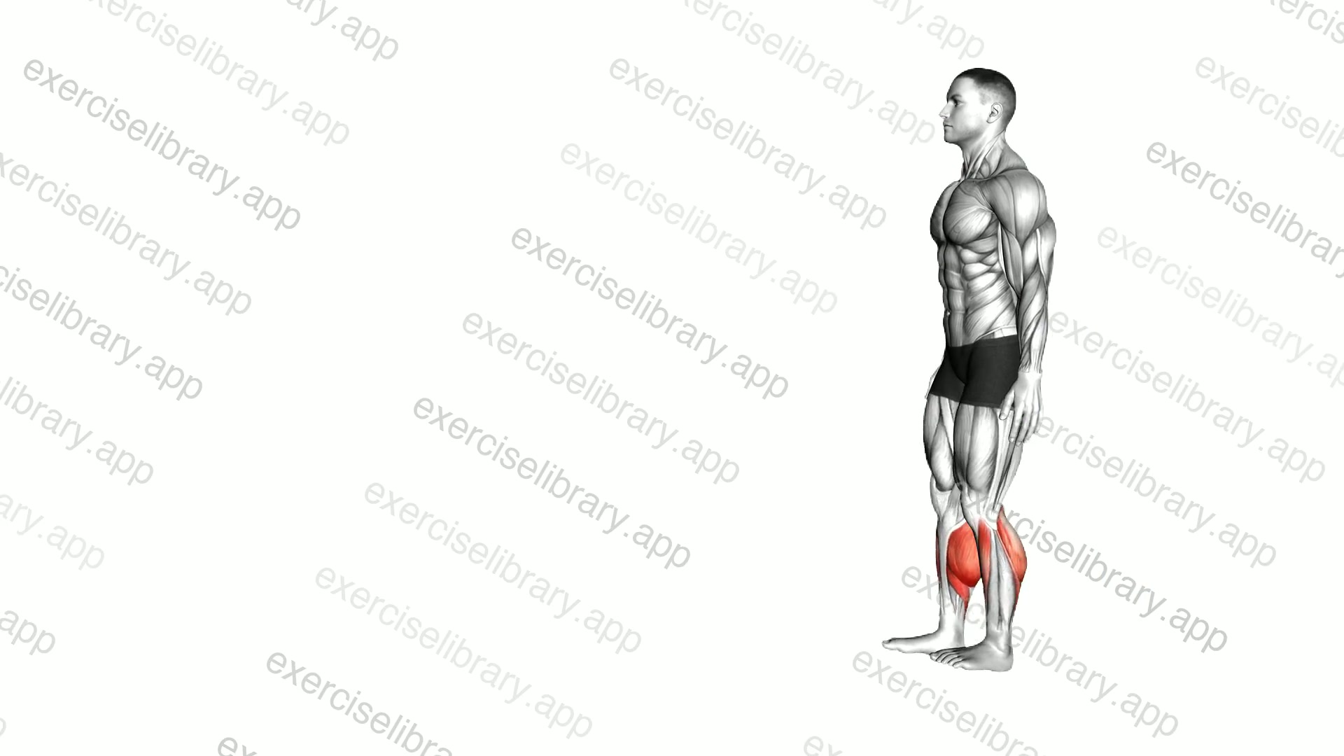 Heel Walk demonstration