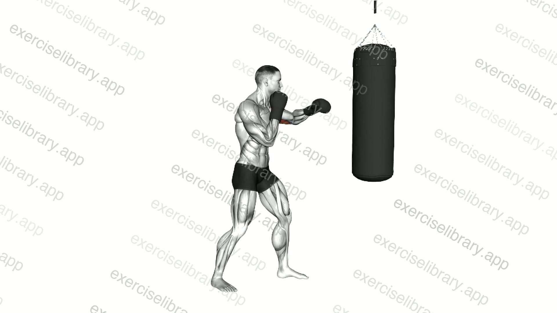 Boxing Jab demonstration