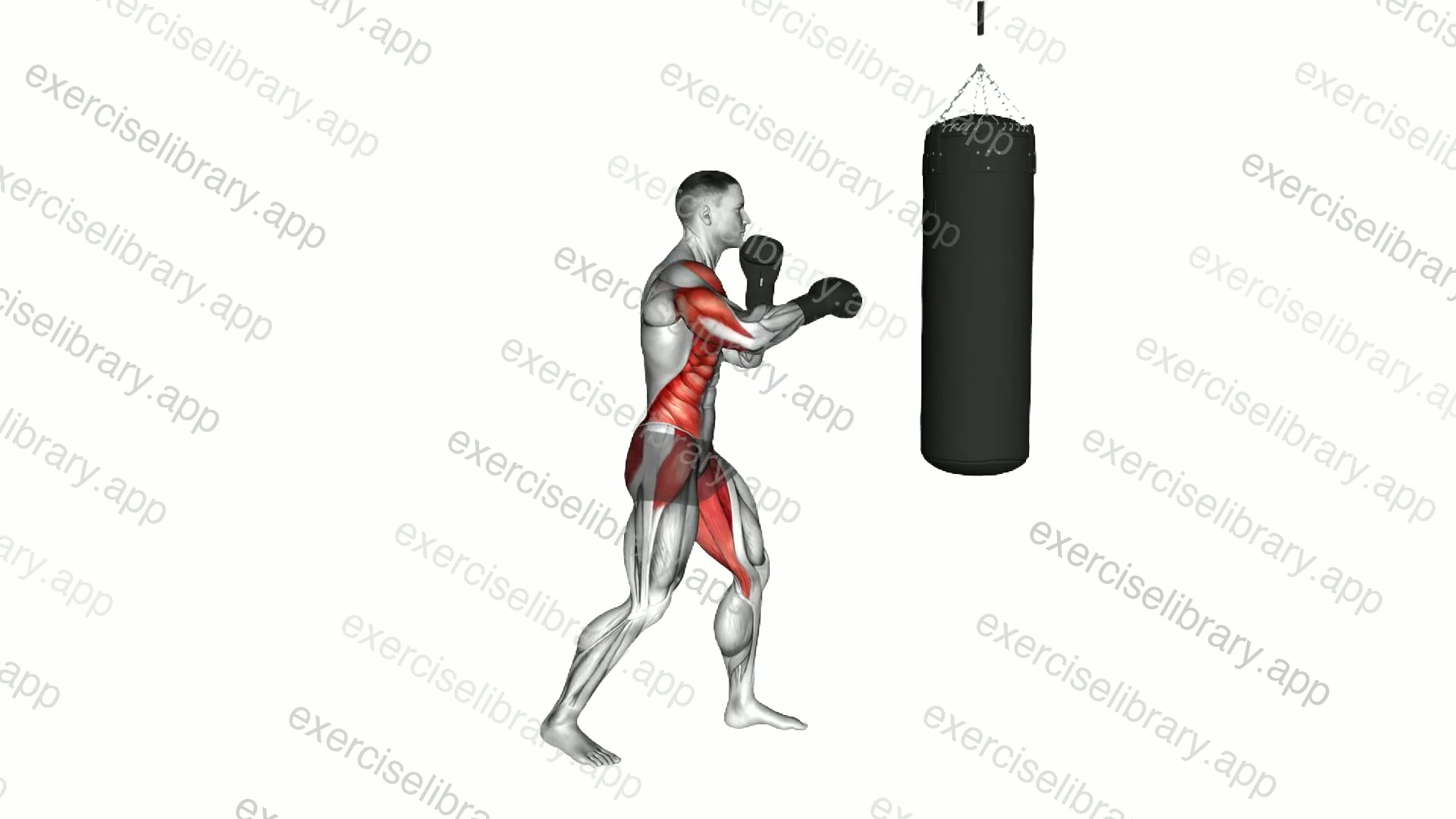 Boxing Cross demonstration