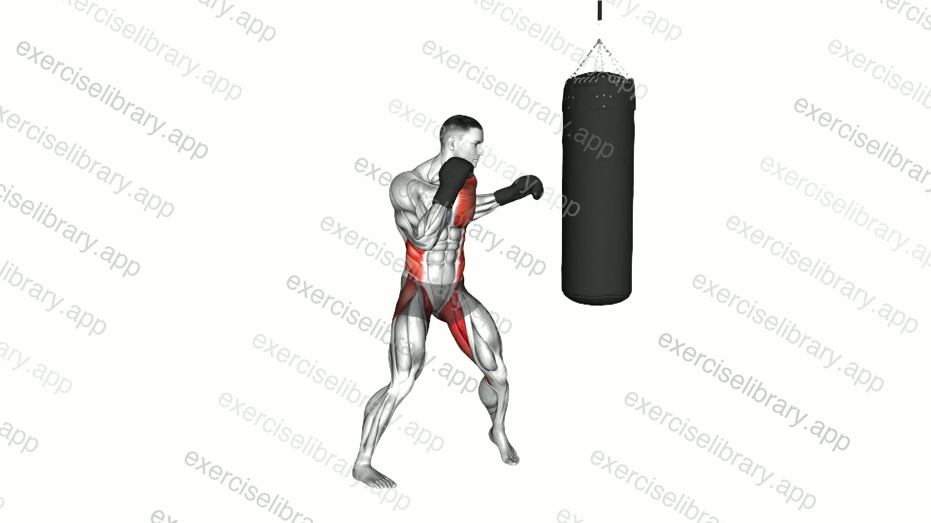 Boxing-up Hook demonstration