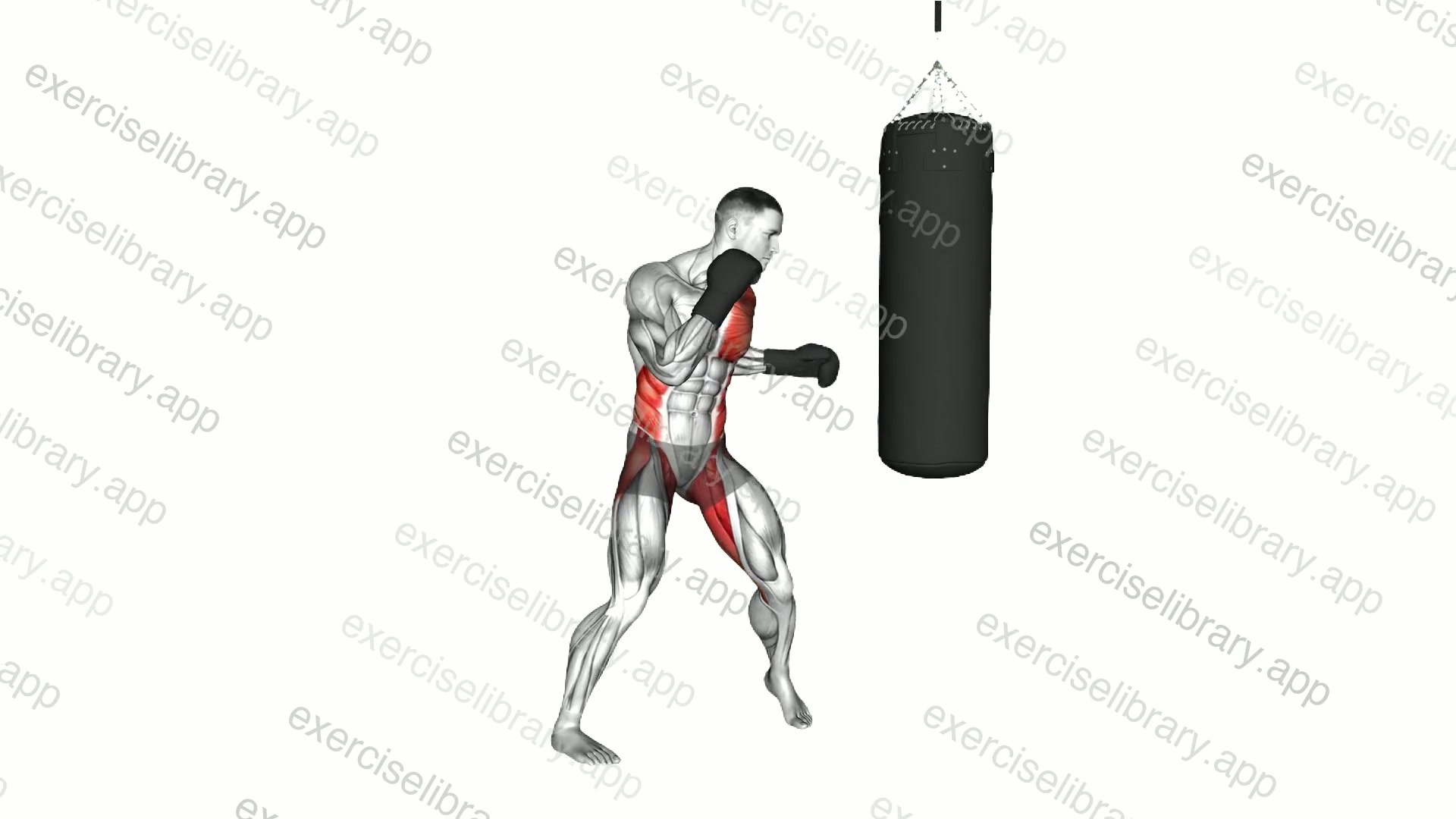 Boxing Low Hook demonstration