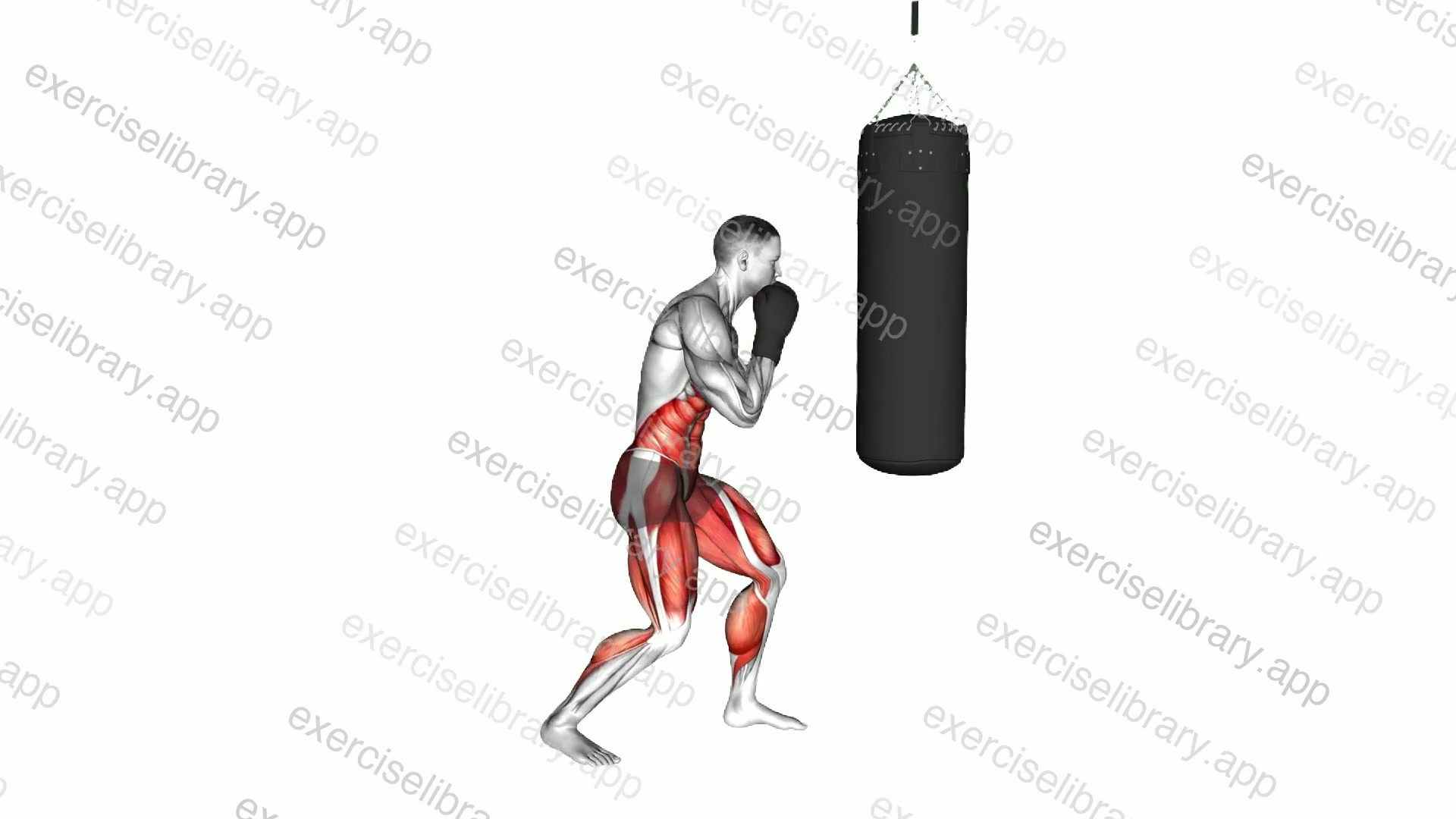 Boxing Full Uppercut demonstration