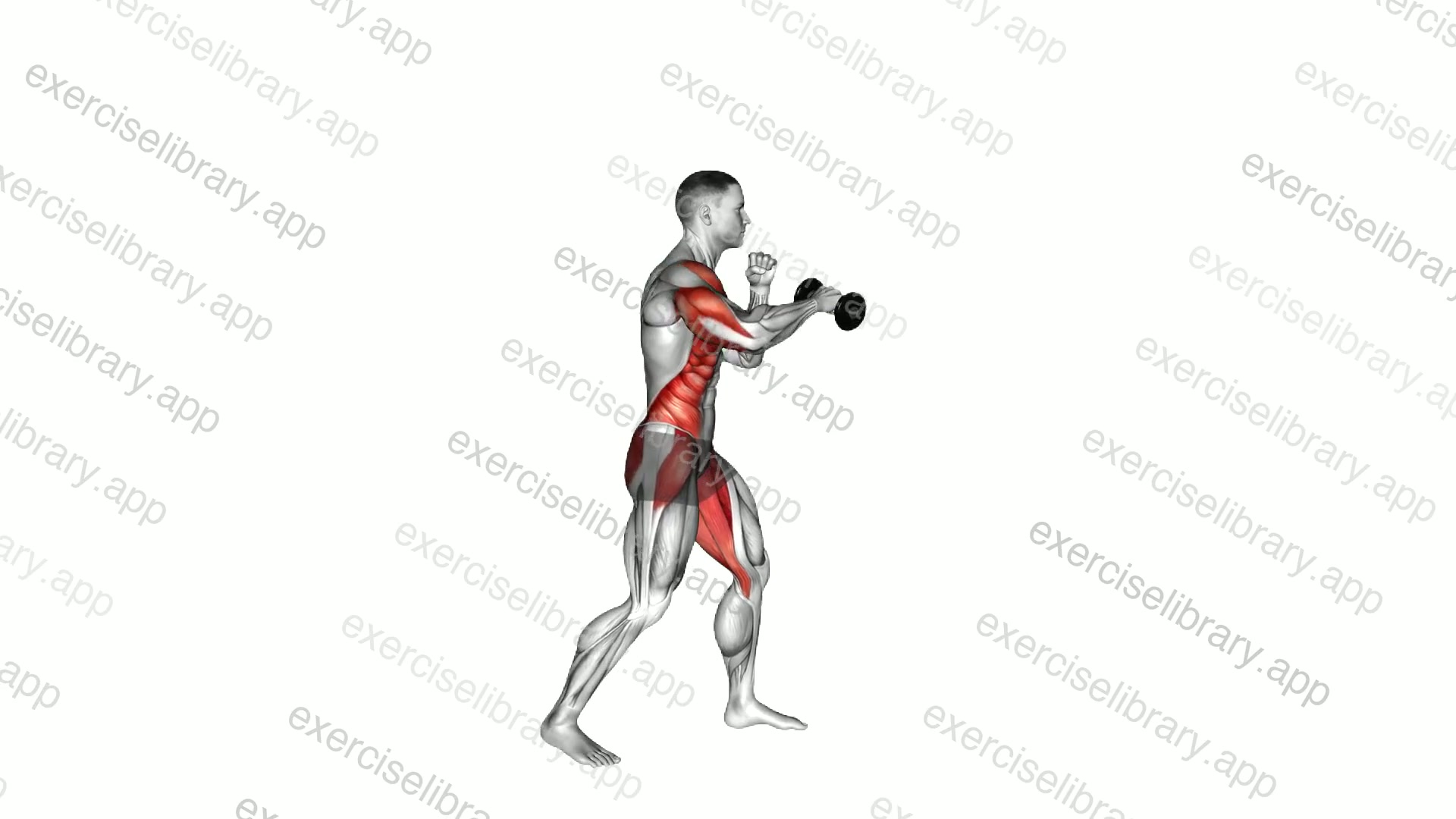 Boxing Cross demonstration