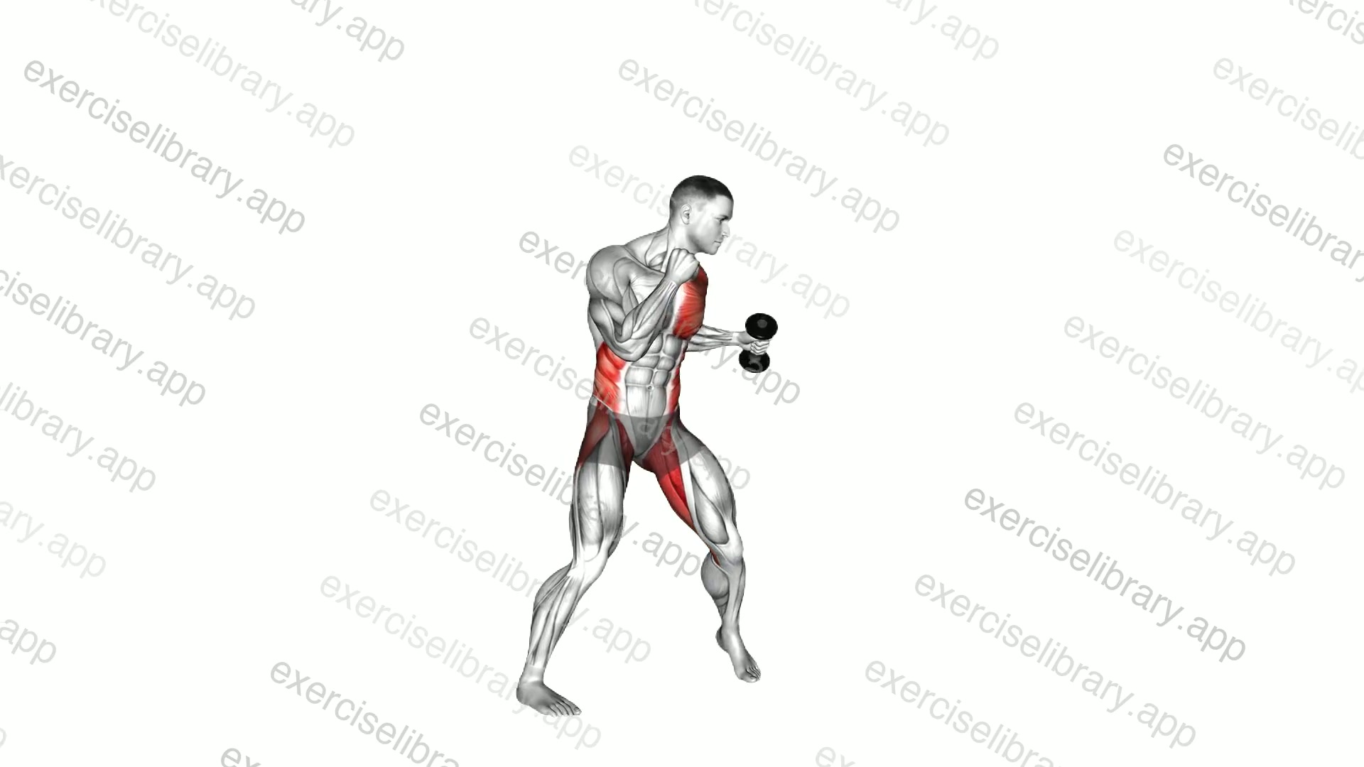 Boxing Low Hook demonstration