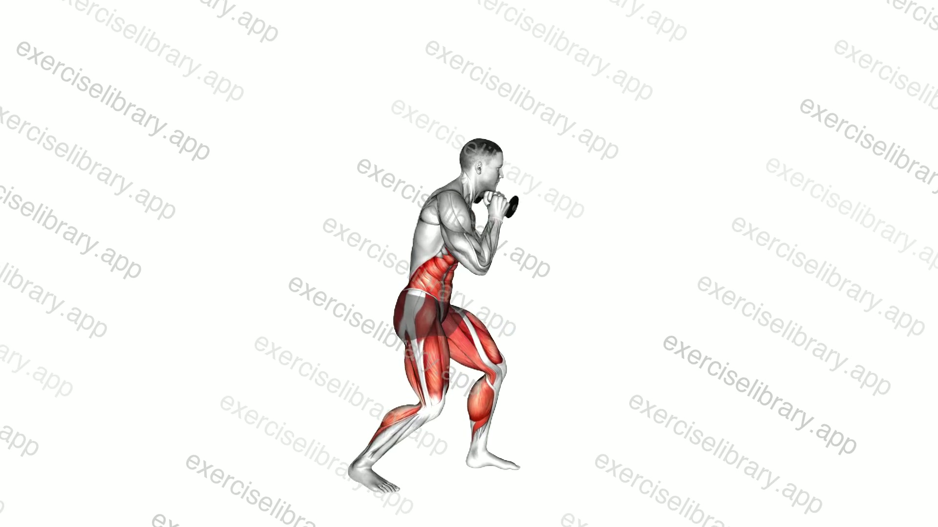Boxing Full Uppercut demonstration