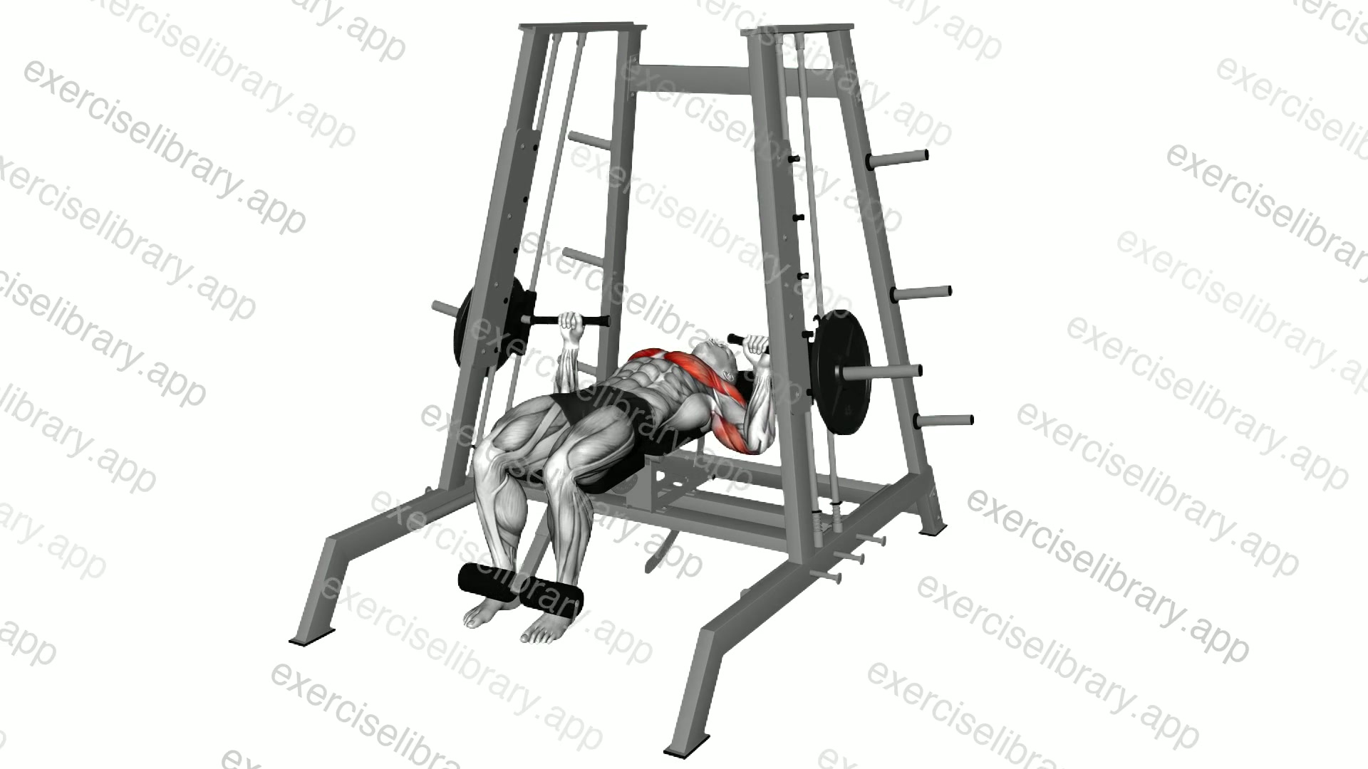 Lever Tower Chest Press demonstration