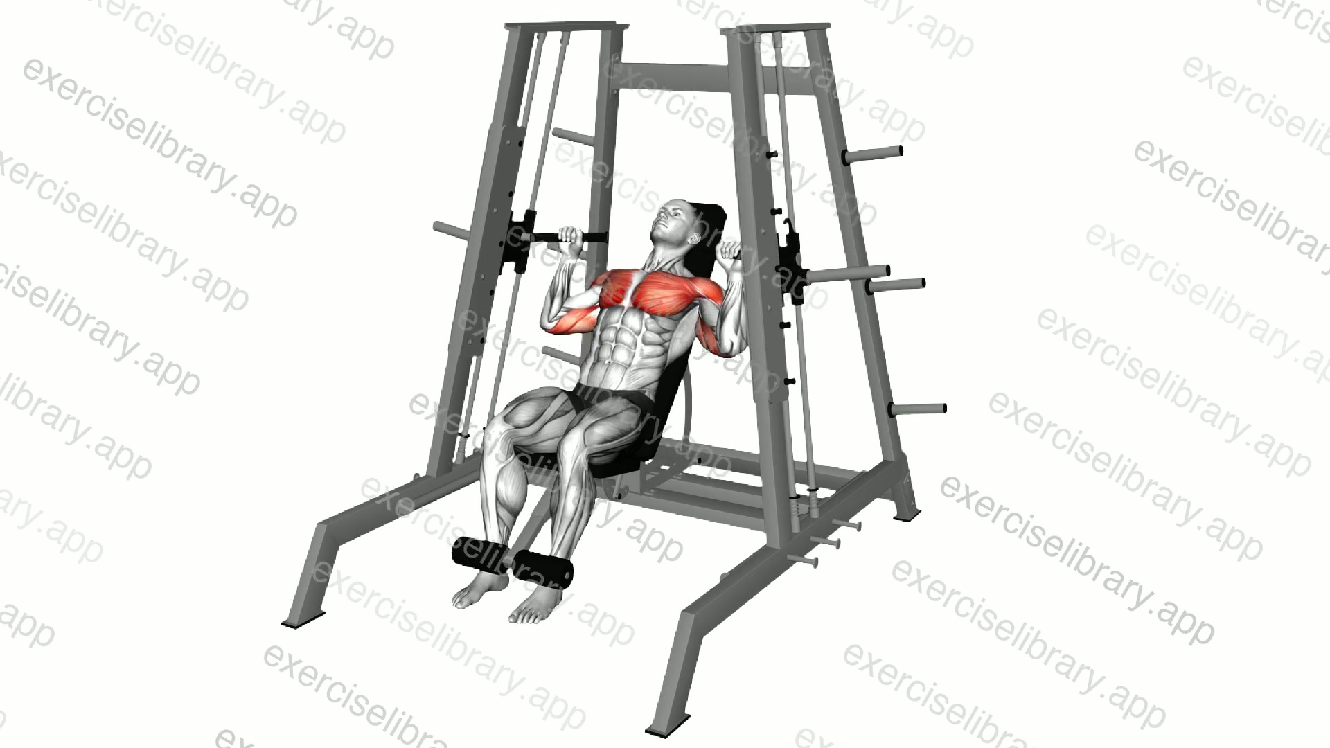 Lever Tower Incline Chest Press demonstration
