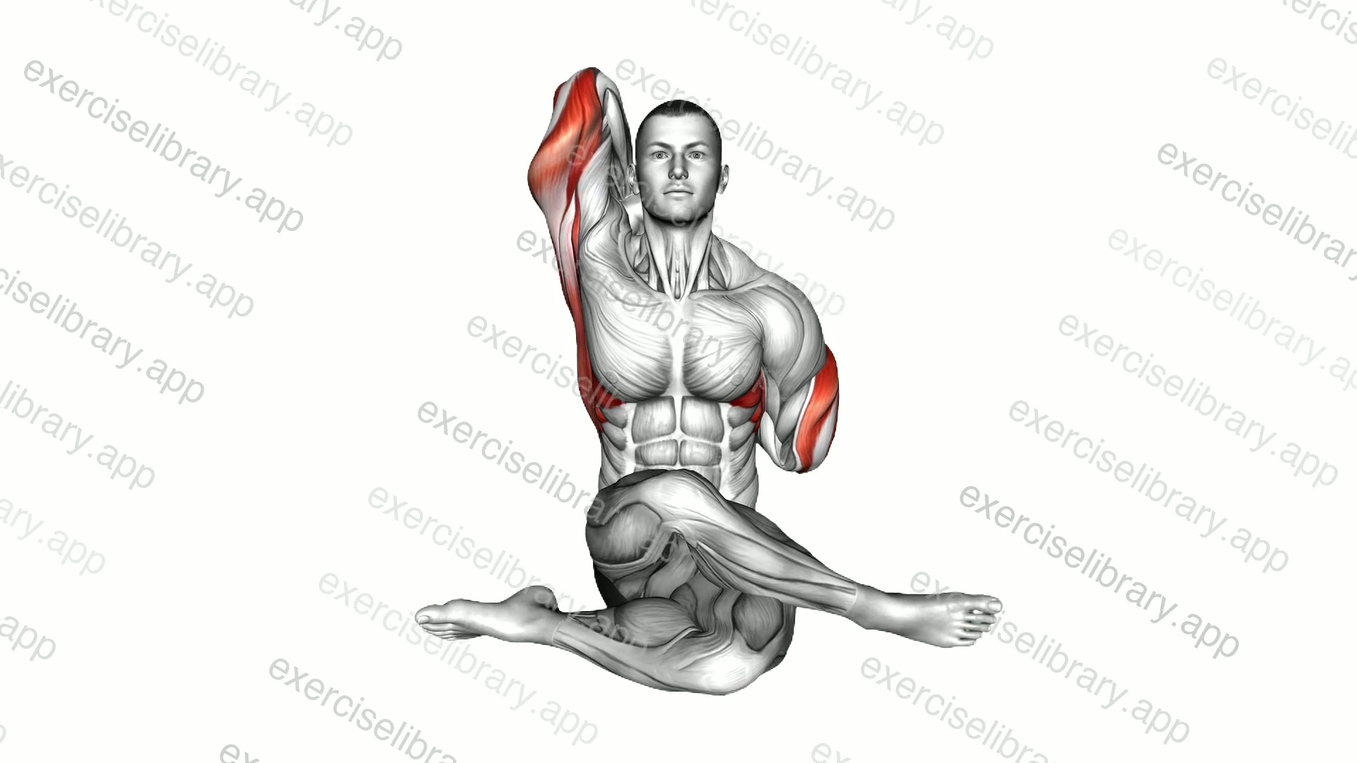 Cow Face Yoga Pose Gomukhasana demonstration