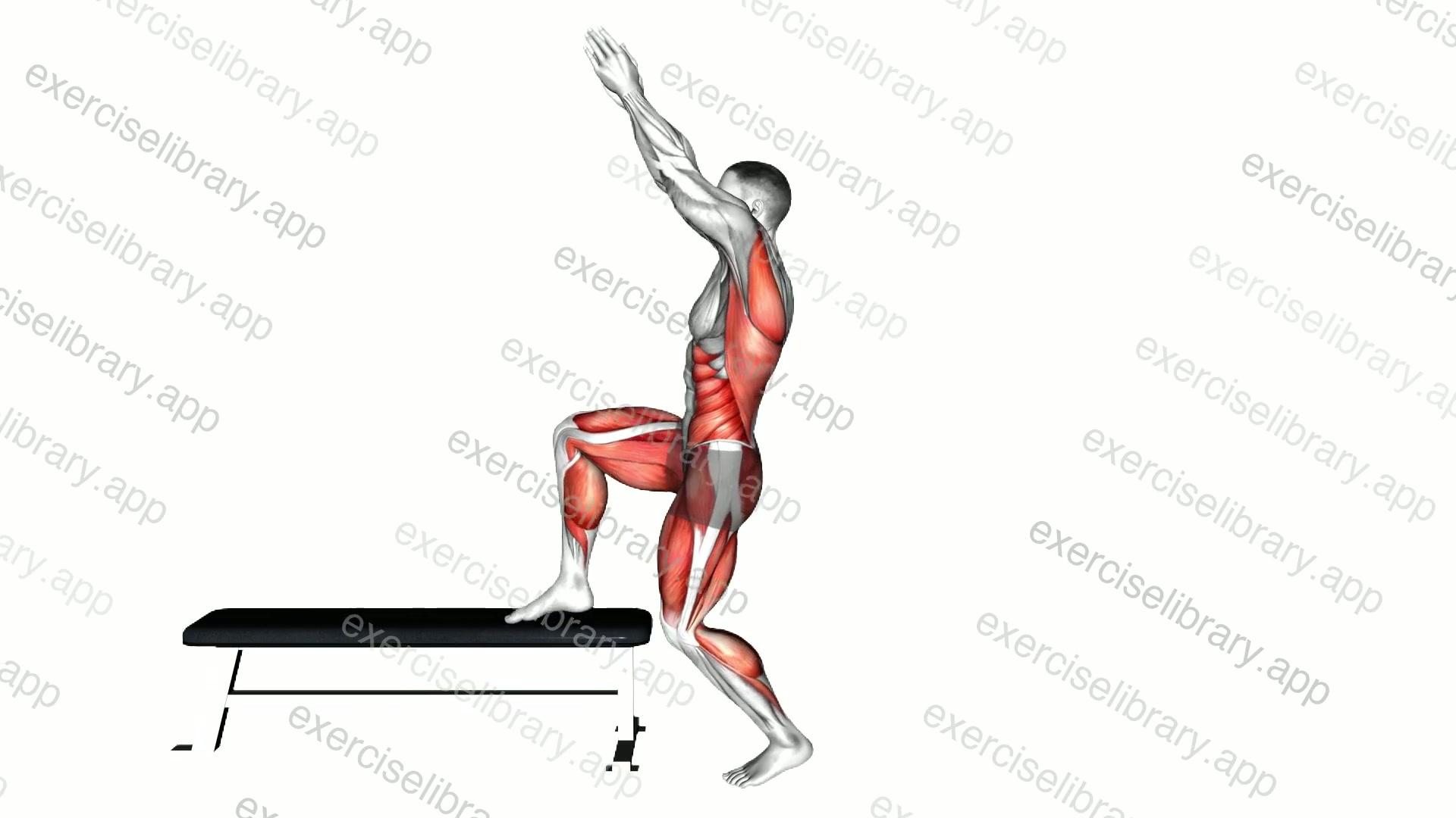 Single Leg Hinge to Hip Flexor Reach demonstration