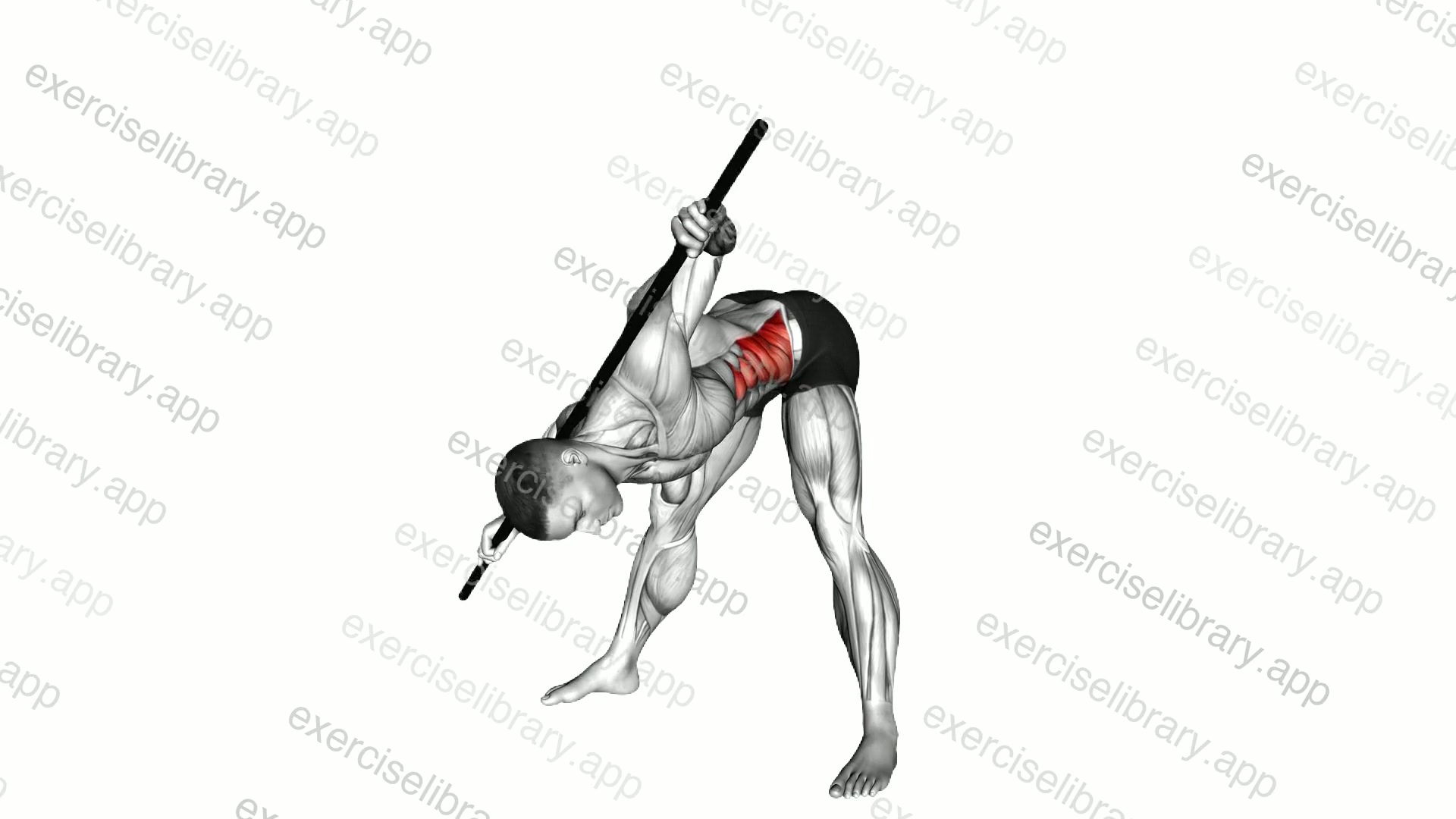 Standing Forward Bent Twist demonstration
