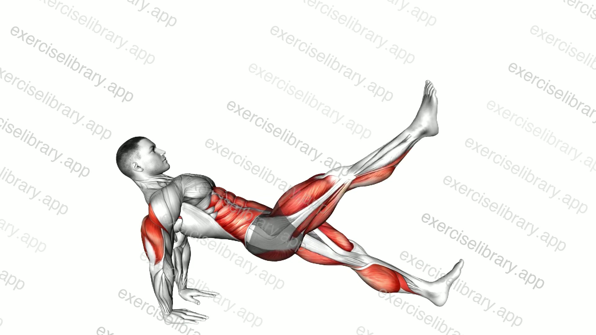 Reverse Plank Leg Lift demonstration
