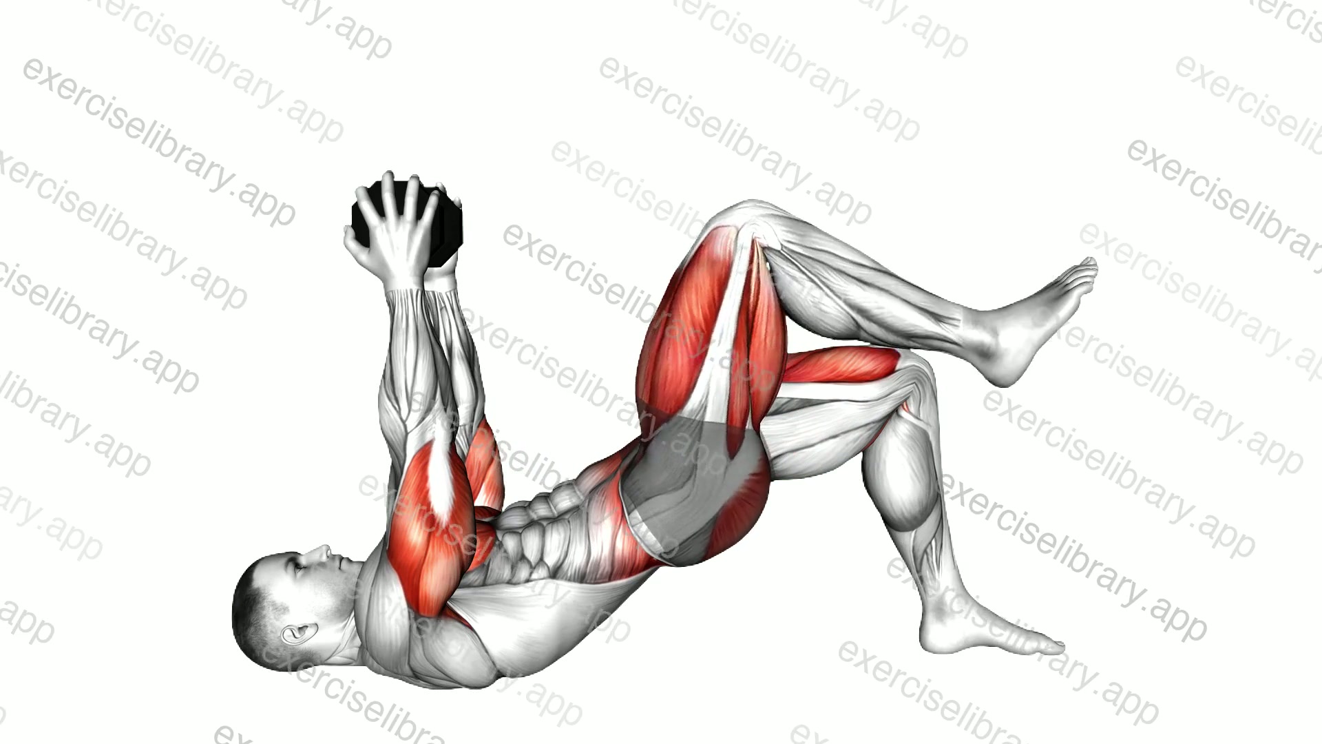 Weighted Dumbbell Bridge March demonstration