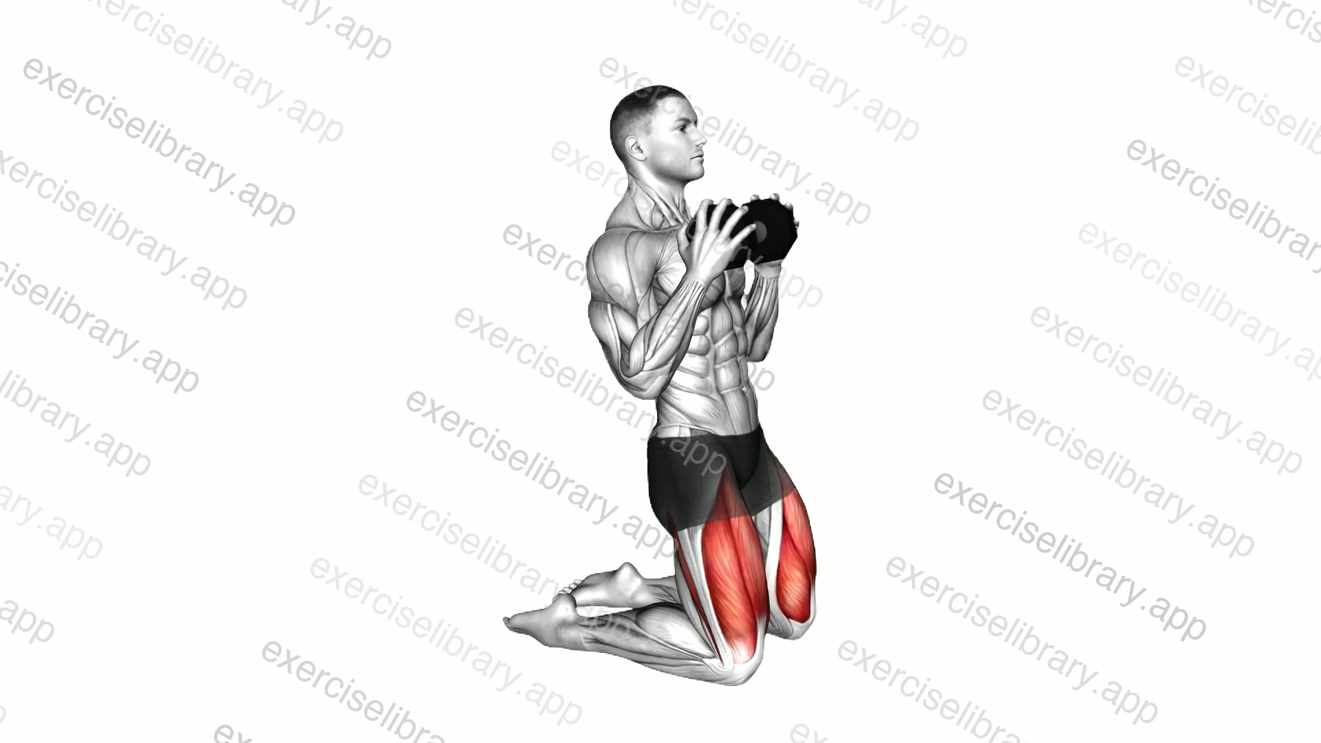 Weighted Dumbbell Kneeling Sissy Squat demonstration