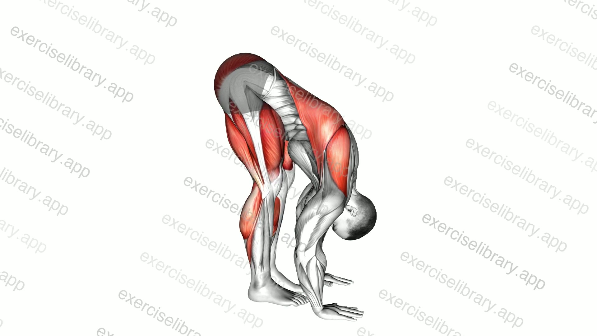 Standing Leaning Forward Walk demonstration