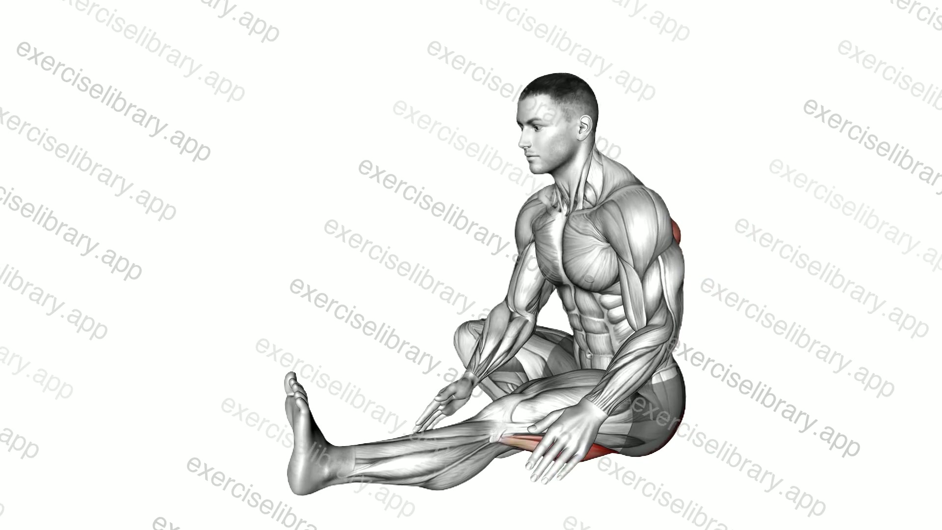 Sitting Head To Knee demonstration