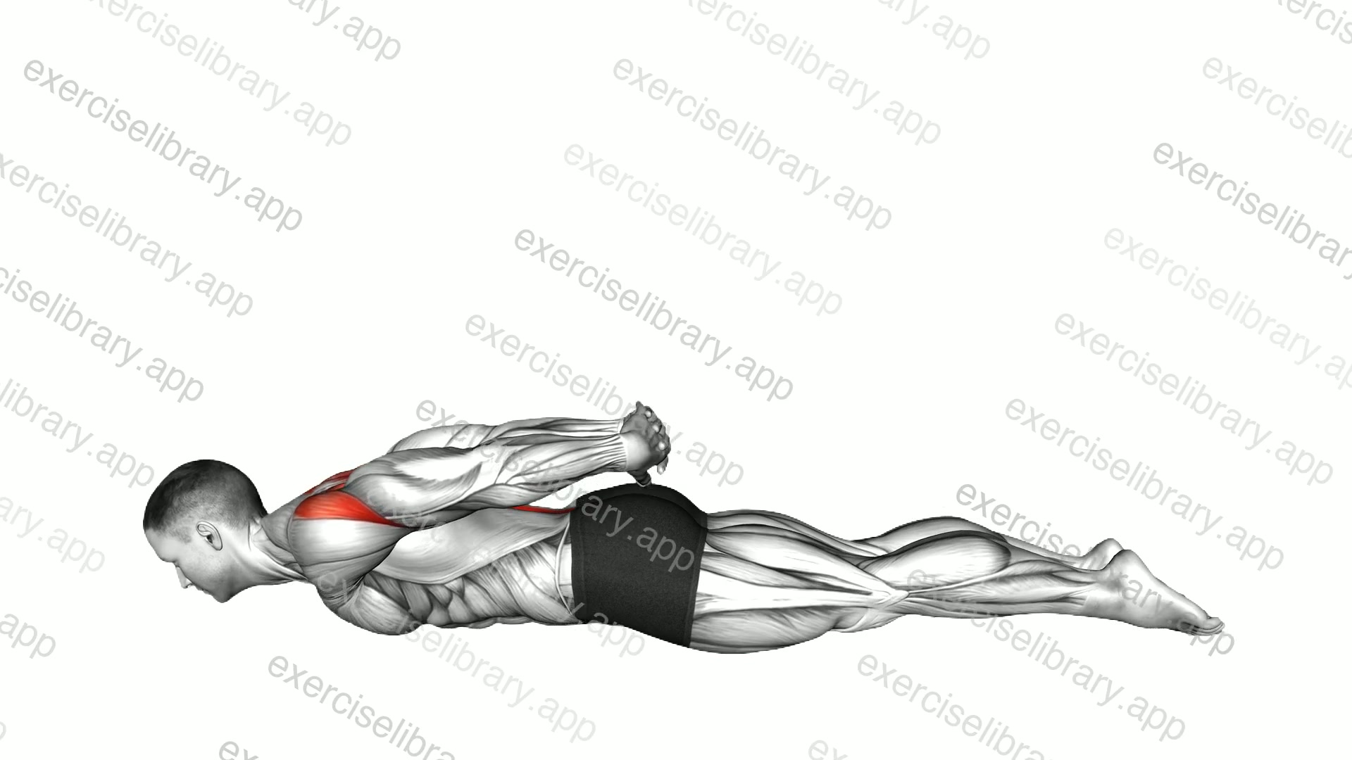 Bow Yoga Pose demonstration
