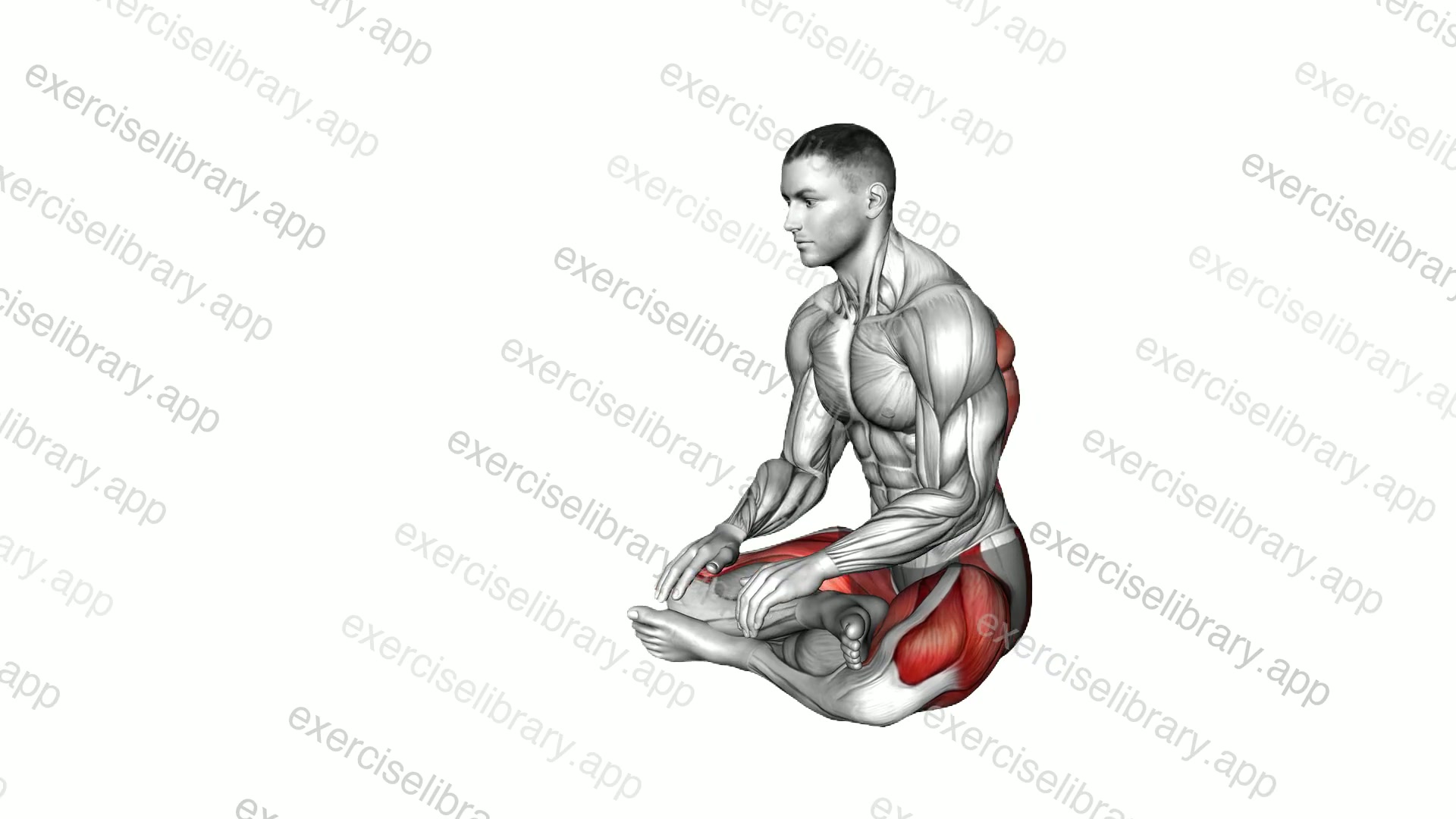 Sitting Crossed Legs Forward Bending demonstration