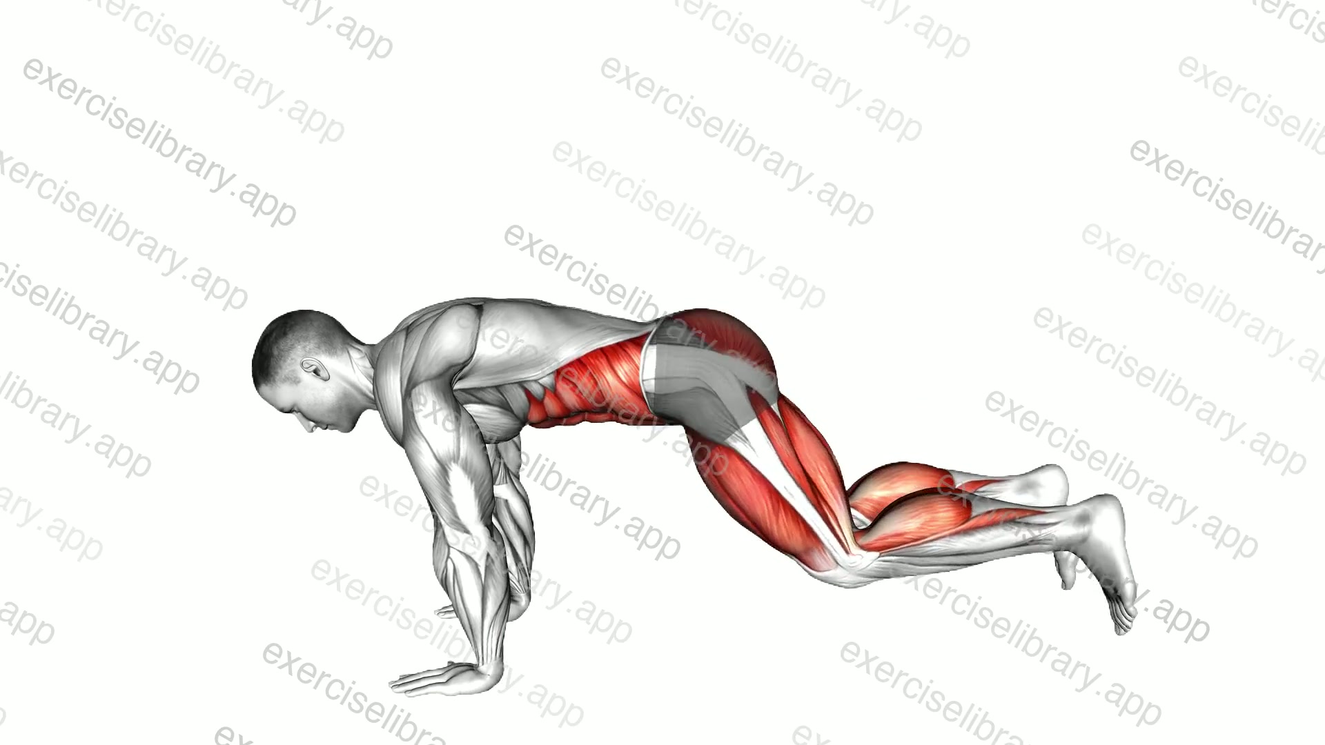 Plank Jump In Squat demonstration