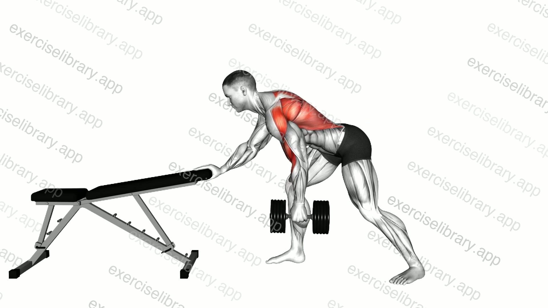 Dumbbell Kroc Row demonstration