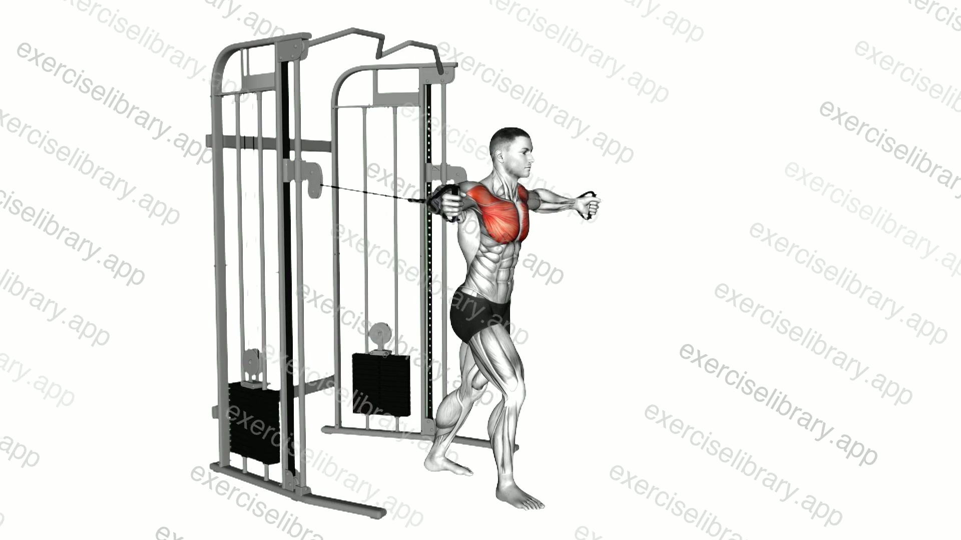 Cable Standing Fly Hugs demonstration