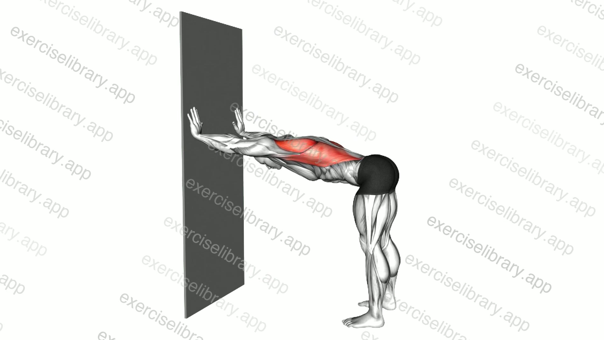 Lat Stretch against Wall demonstration