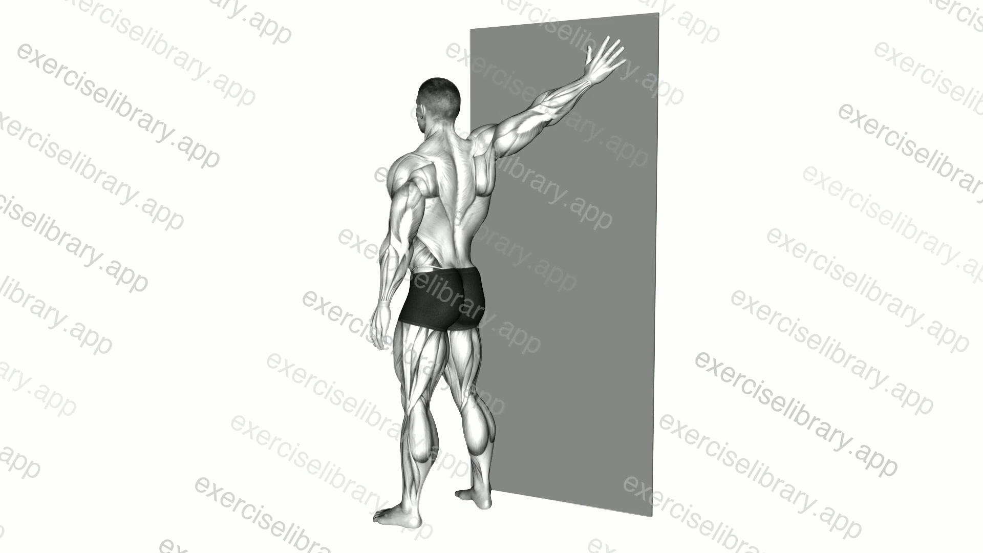 Single Arm 45 degrees Chest Stretch against Wall demonstration