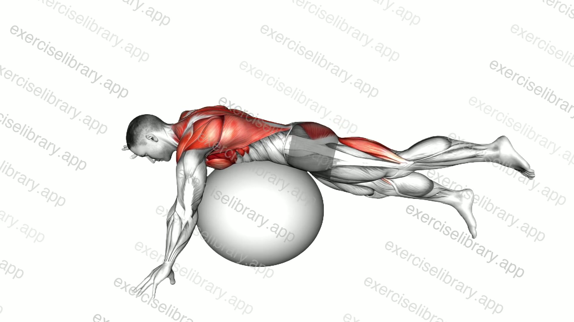 Swimmer Kick over Exercise Ball demonstration