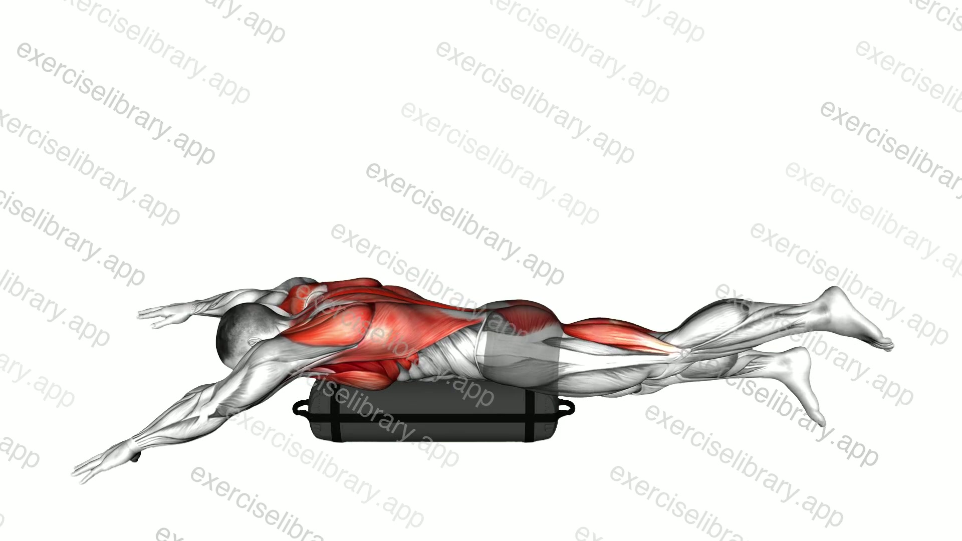 Swimmer Kick over Sandbag demonstration