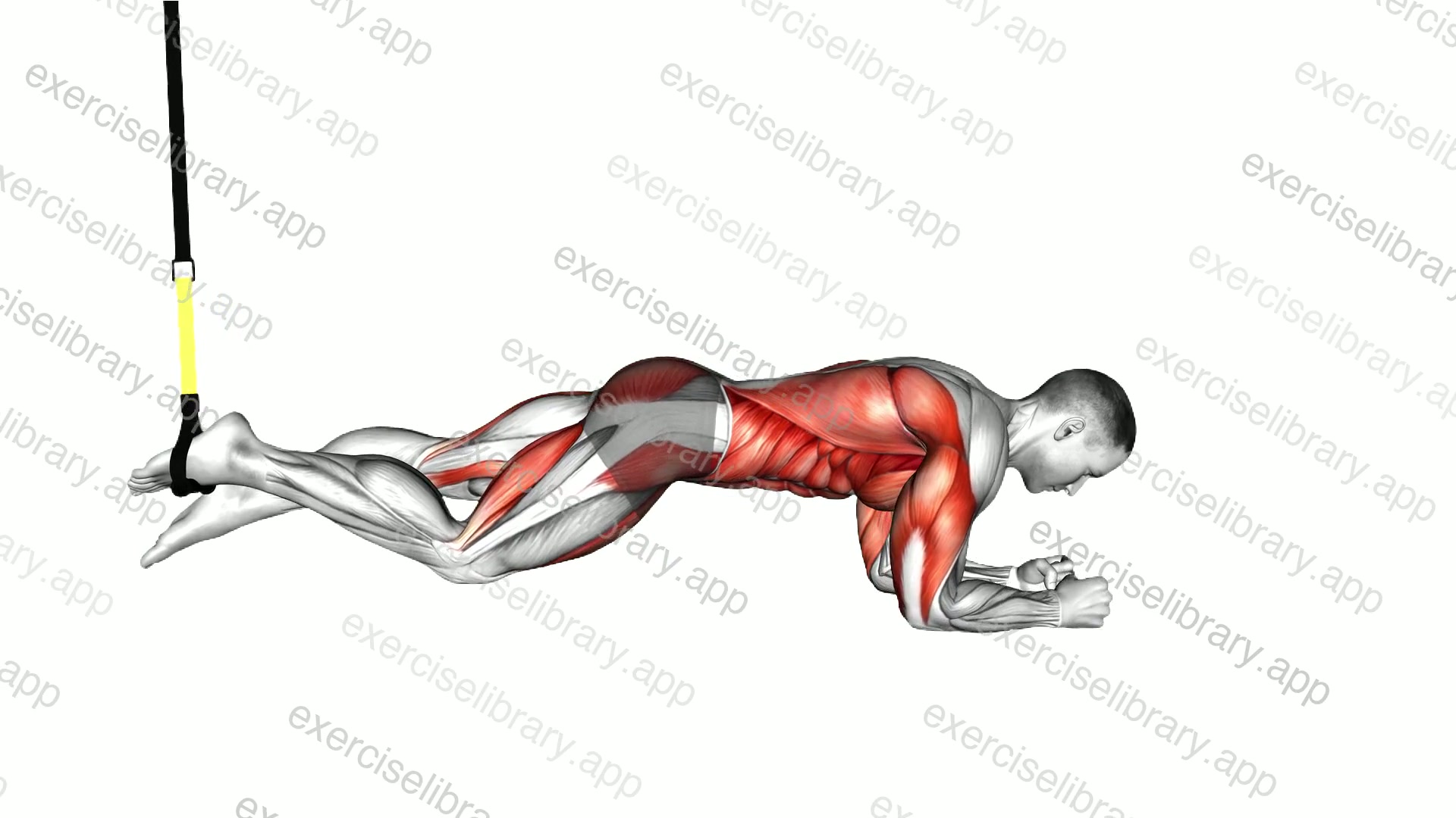 Suspender Single Leg Plank demonstration