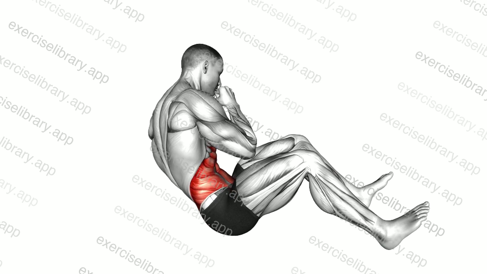 Cross Sit-up demonstration