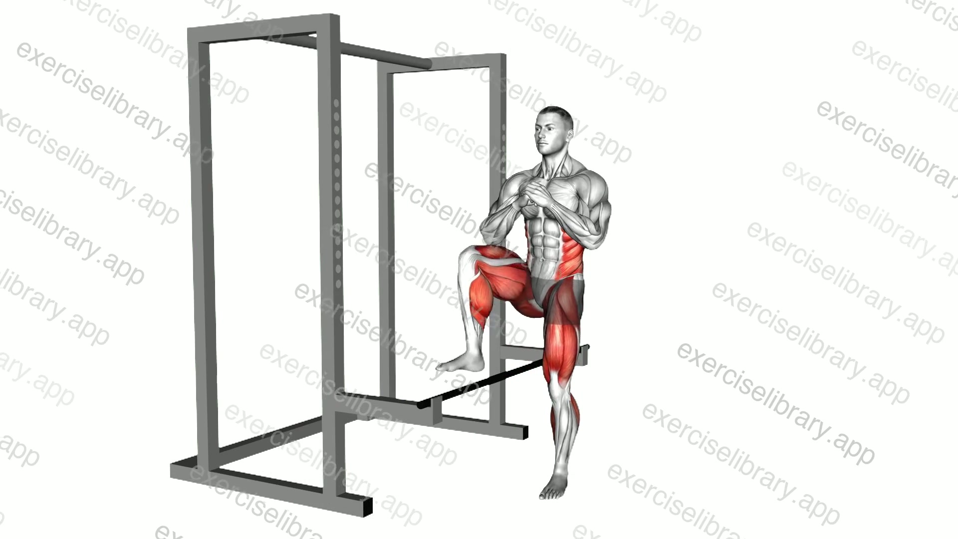 Hip Hurdles over the Bar demonstration
