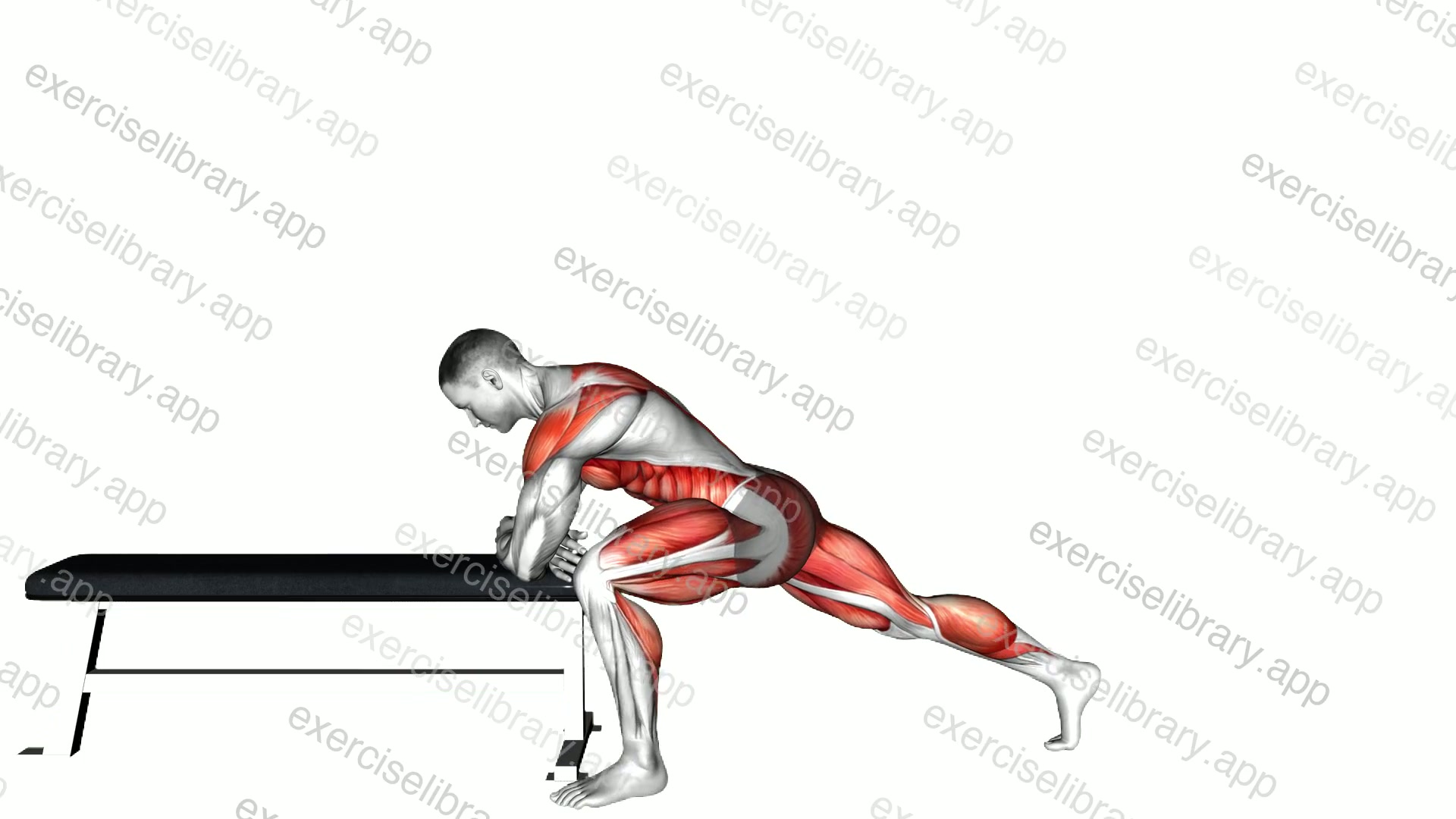 Elevated Lunge T Spine Rotation demonstration