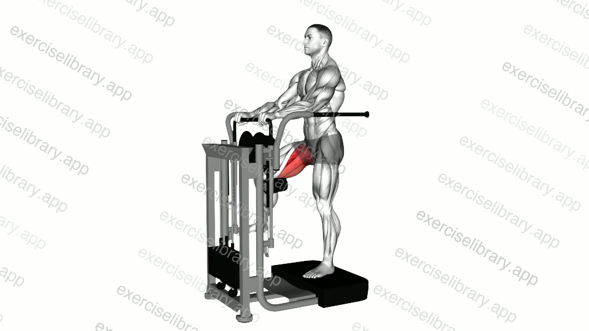 Lever Side Hip Adduction demonstration